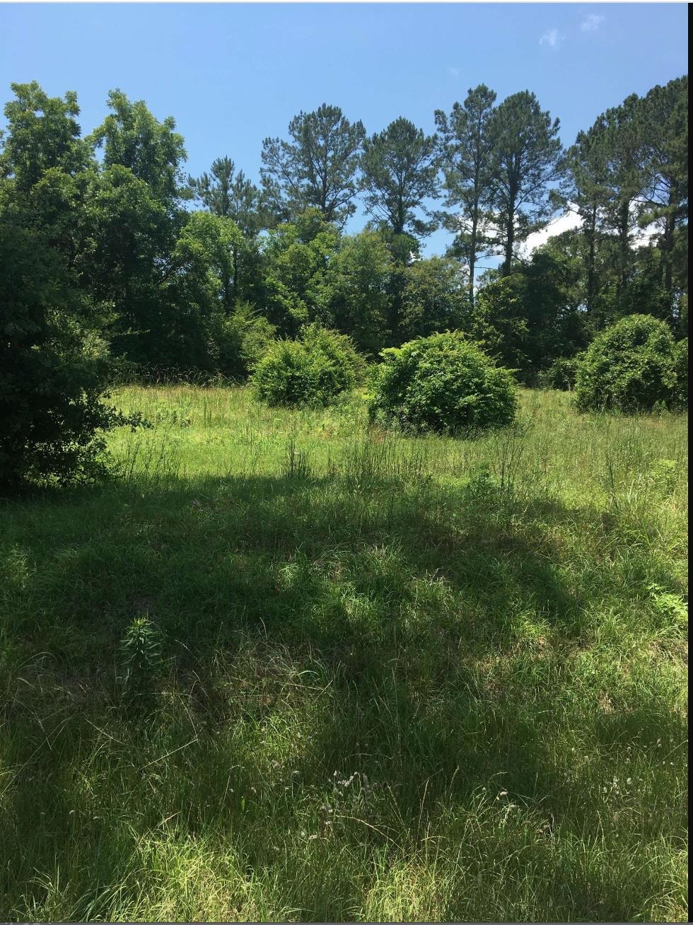 300 Twin Ponds,HAVANA,Florida 32333,Lots and land,Twin Ponds,369002