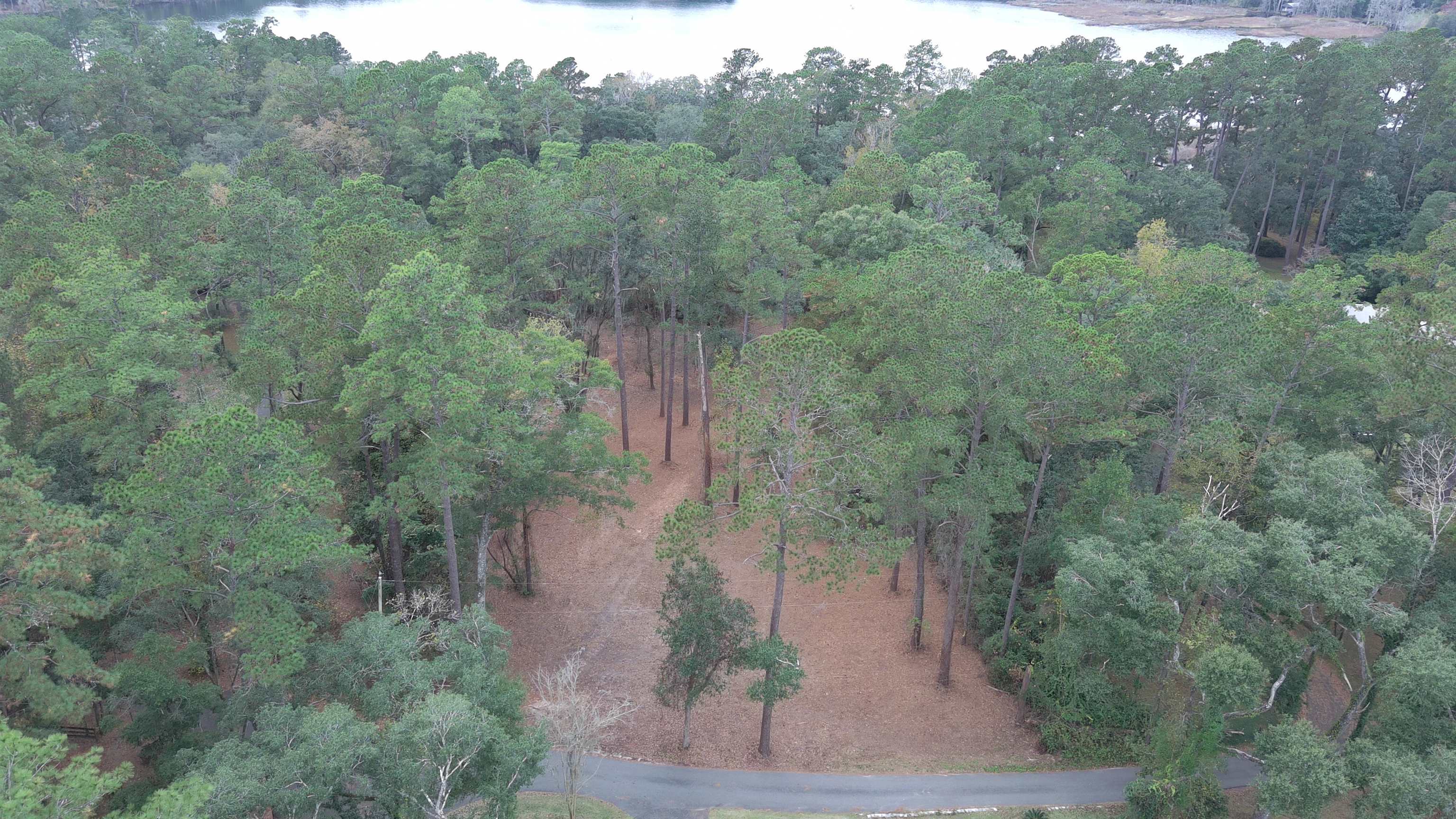 Duck Cove,TALLAHASSEE,Florida 32312,Lots and land,Duck Cove,361842