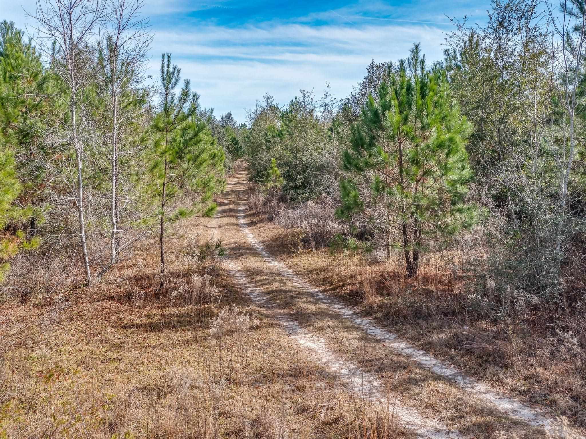 xxx Roland Harvey,CRAWFORDVILLE,Florida 32327,Lots and land,Roland Harvey,366649