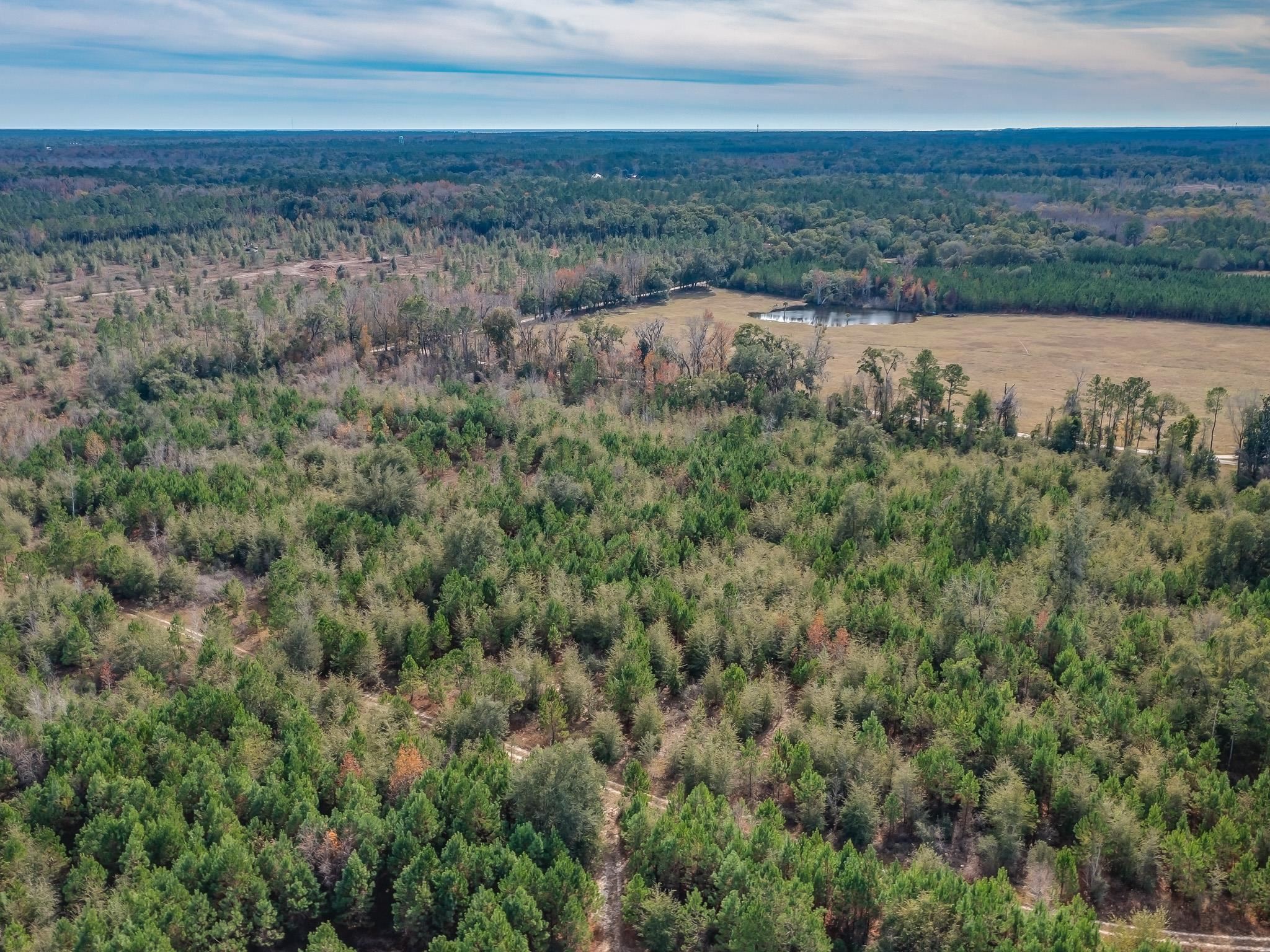 xxx Roland Harvey,CRAWFORDVILLE,Florida 32327,Lots and land,Roland Harvey,366649