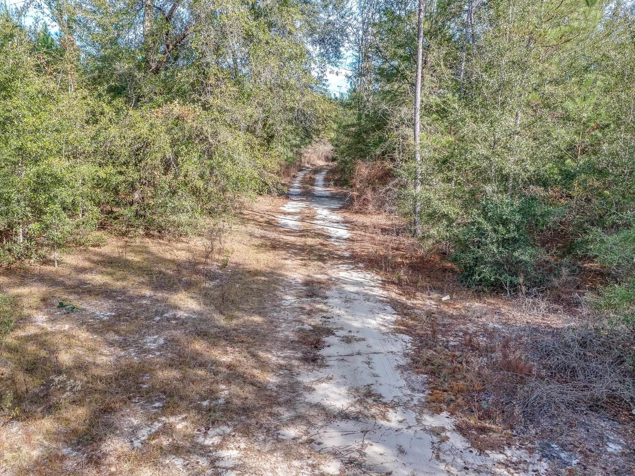 xxx Roland Harvey,CRAWFORDVILLE,Florida 32327,Lots and land,Roland Harvey,366649