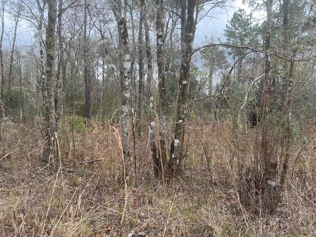 2737 122ND,OTHER FLORIDA,Florida 32094,Lots and land,122ND,369010