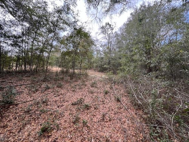 2737 122ND,OTHER FLORIDA,Florida 32094,Lots and land,122ND,369010