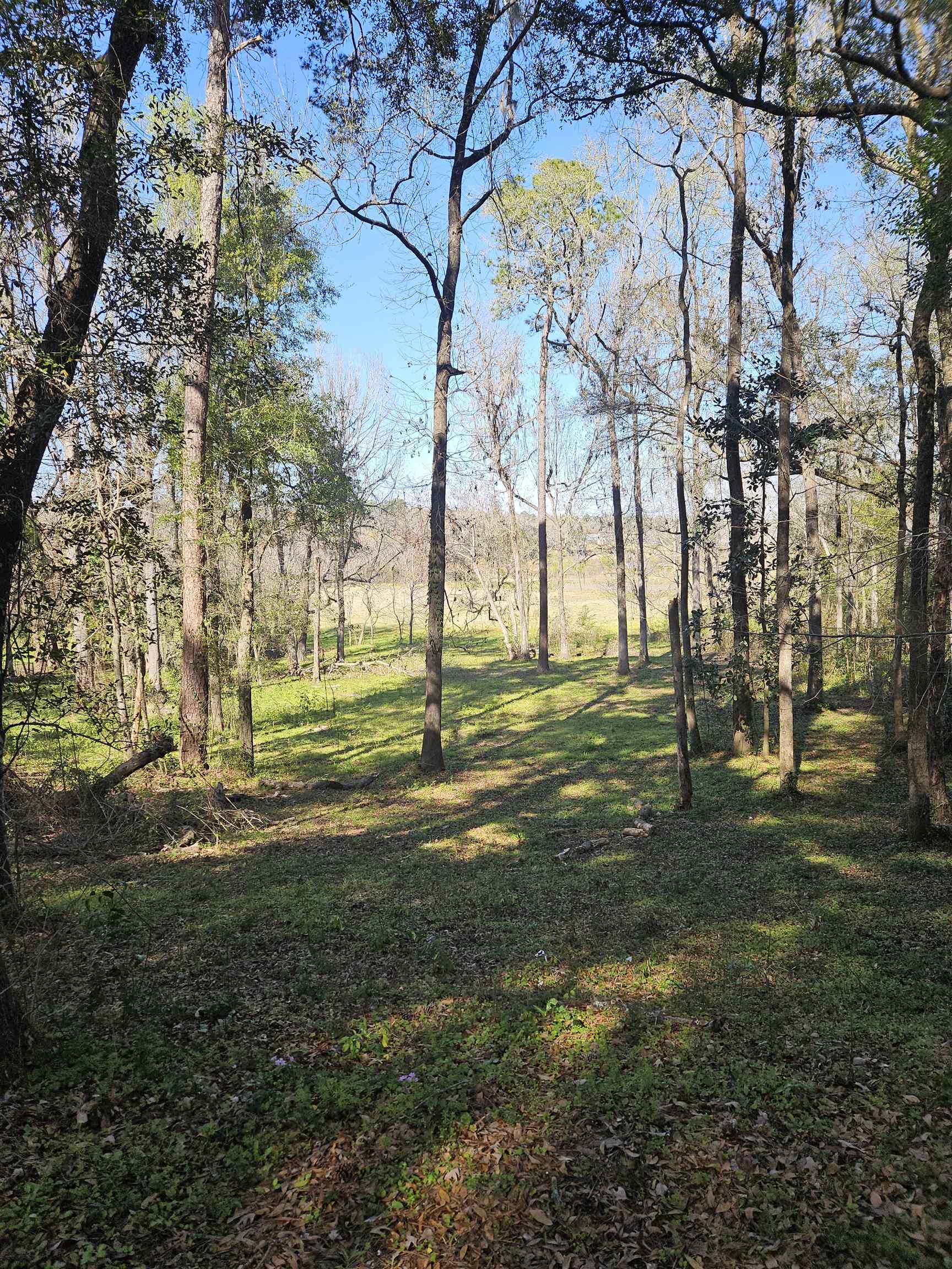 3305 Charleston,TALLAHASSEE,Florida 32309,Lots and land,Charleston,369014