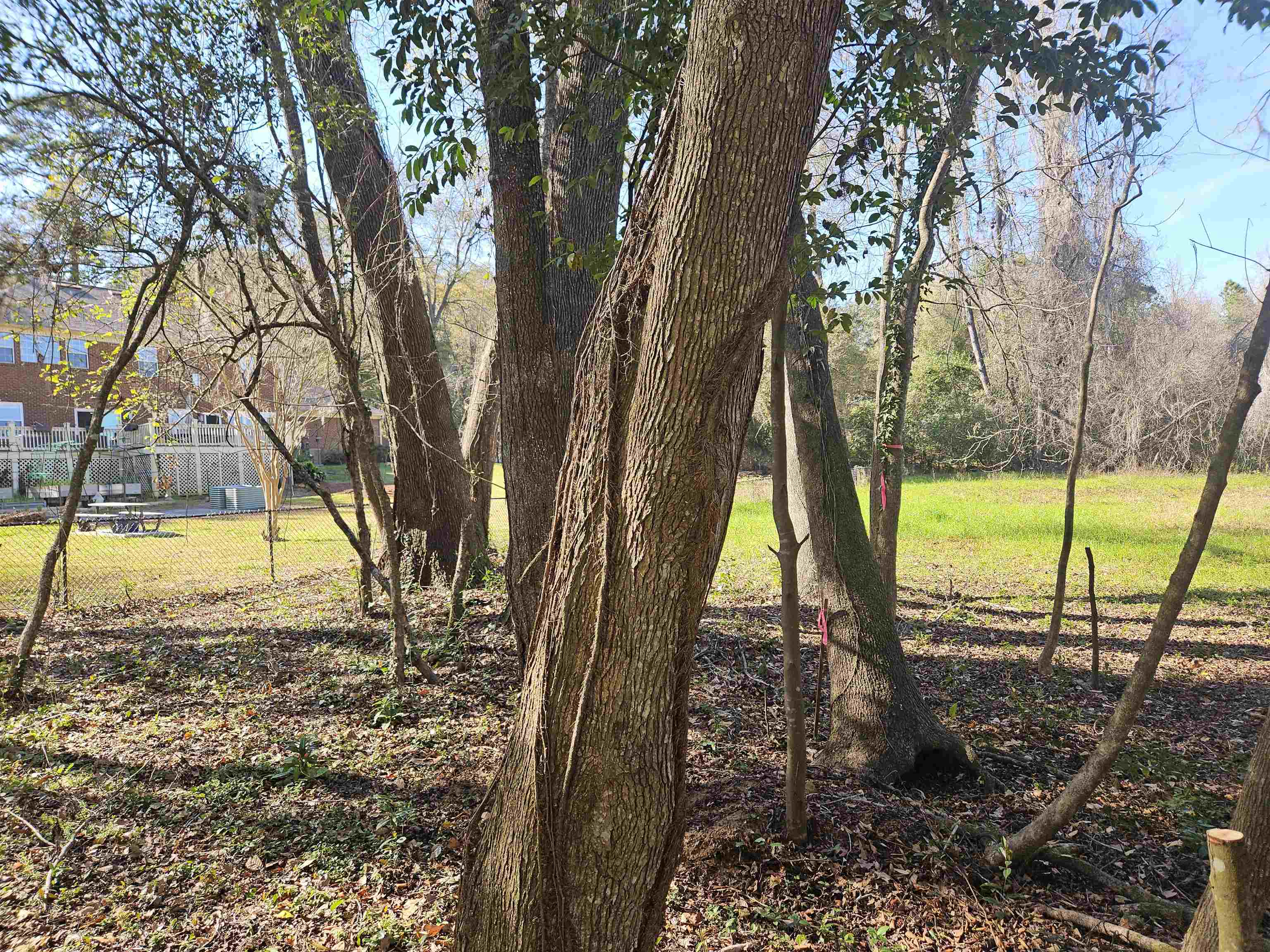 3305 Charleston,TALLAHASSEE,Florida 32309,Lots and land,Charleston,369014