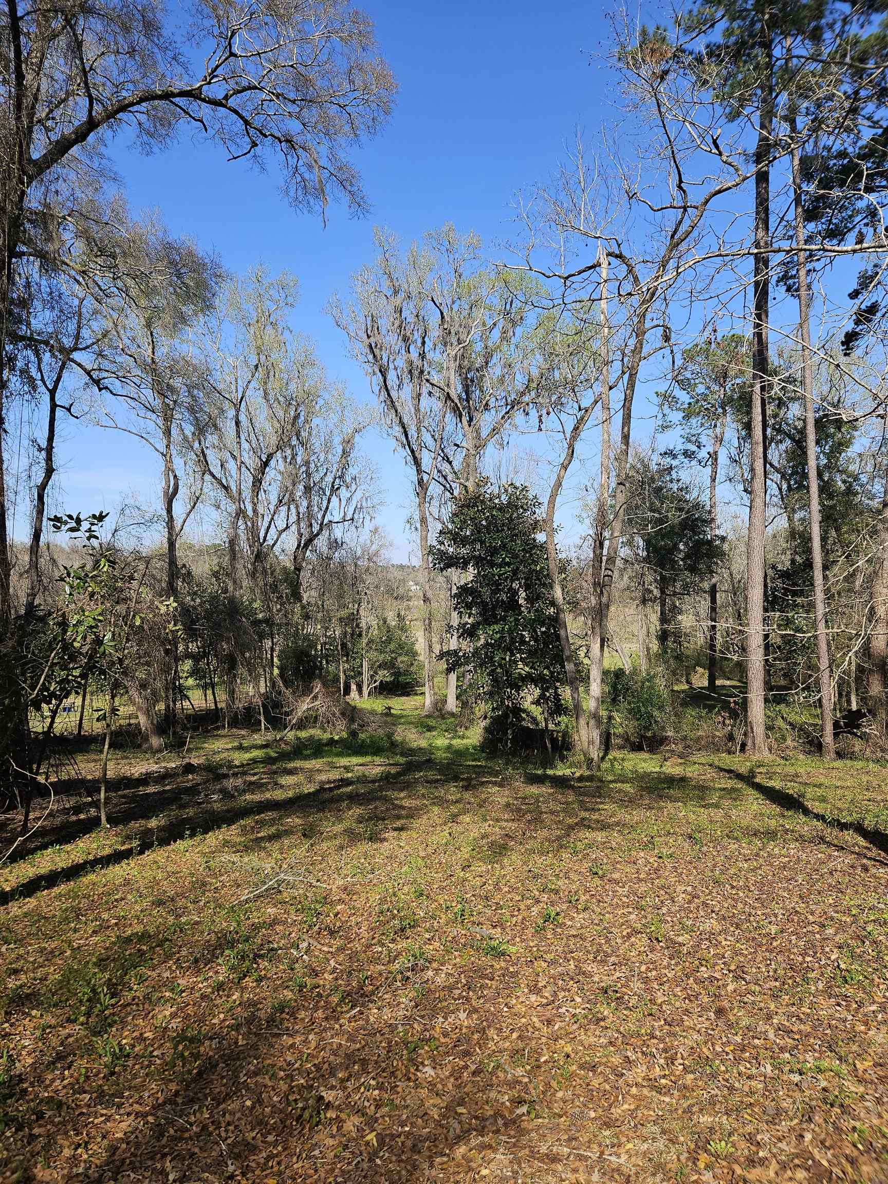 3305 Charleston,TALLAHASSEE,Florida 32309,Lots and land,Charleston,369014