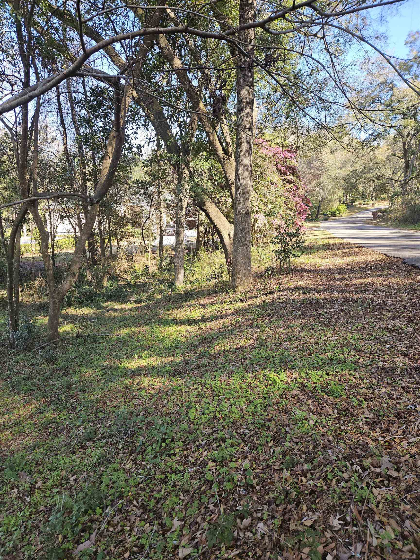 3305 Charleston,TALLAHASSEE,Florida 32309,Lots and land,Charleston,369014