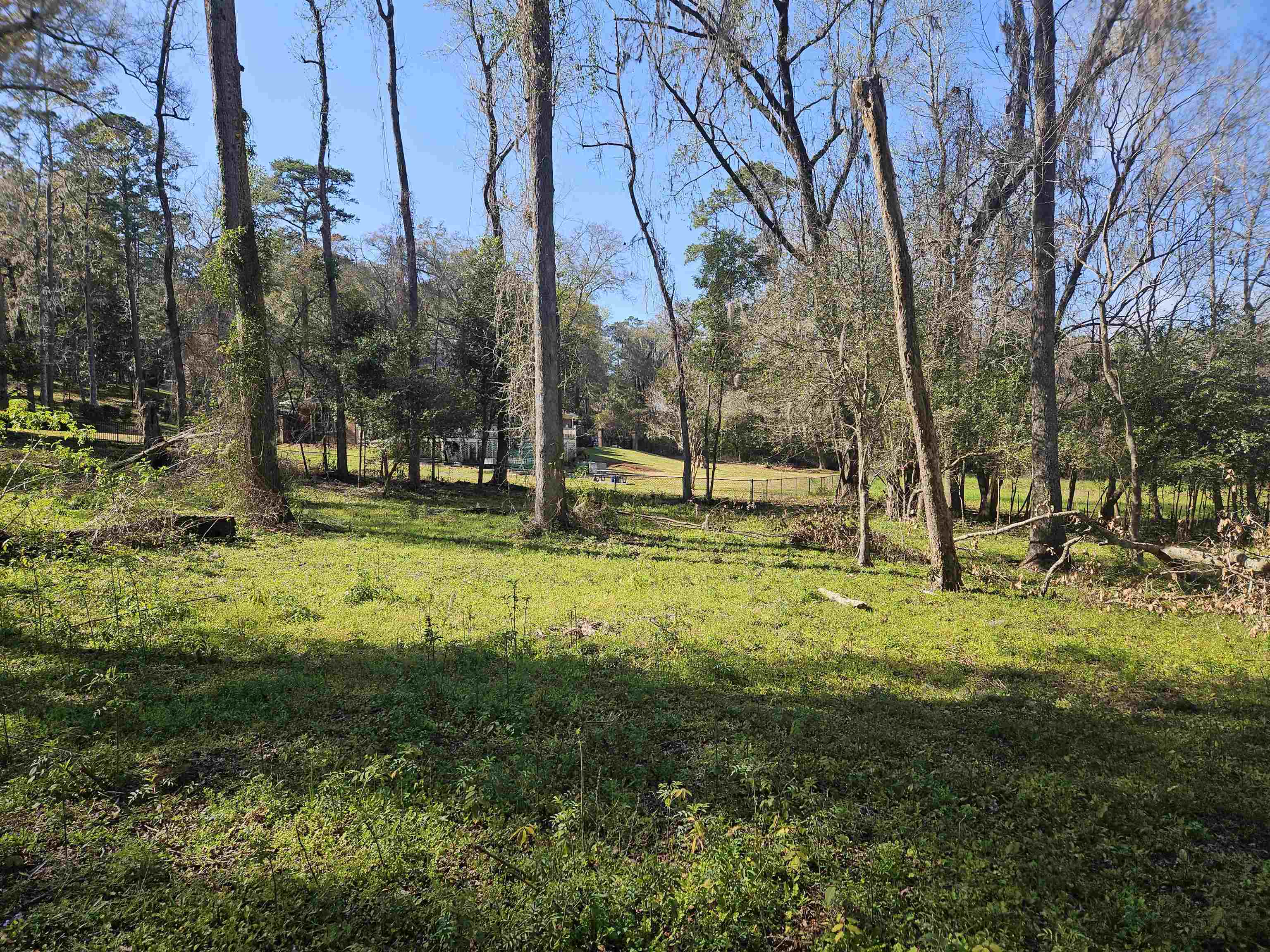 3305 Charleston,TALLAHASSEE,Florida 32309,Lots and land,Charleston,369014