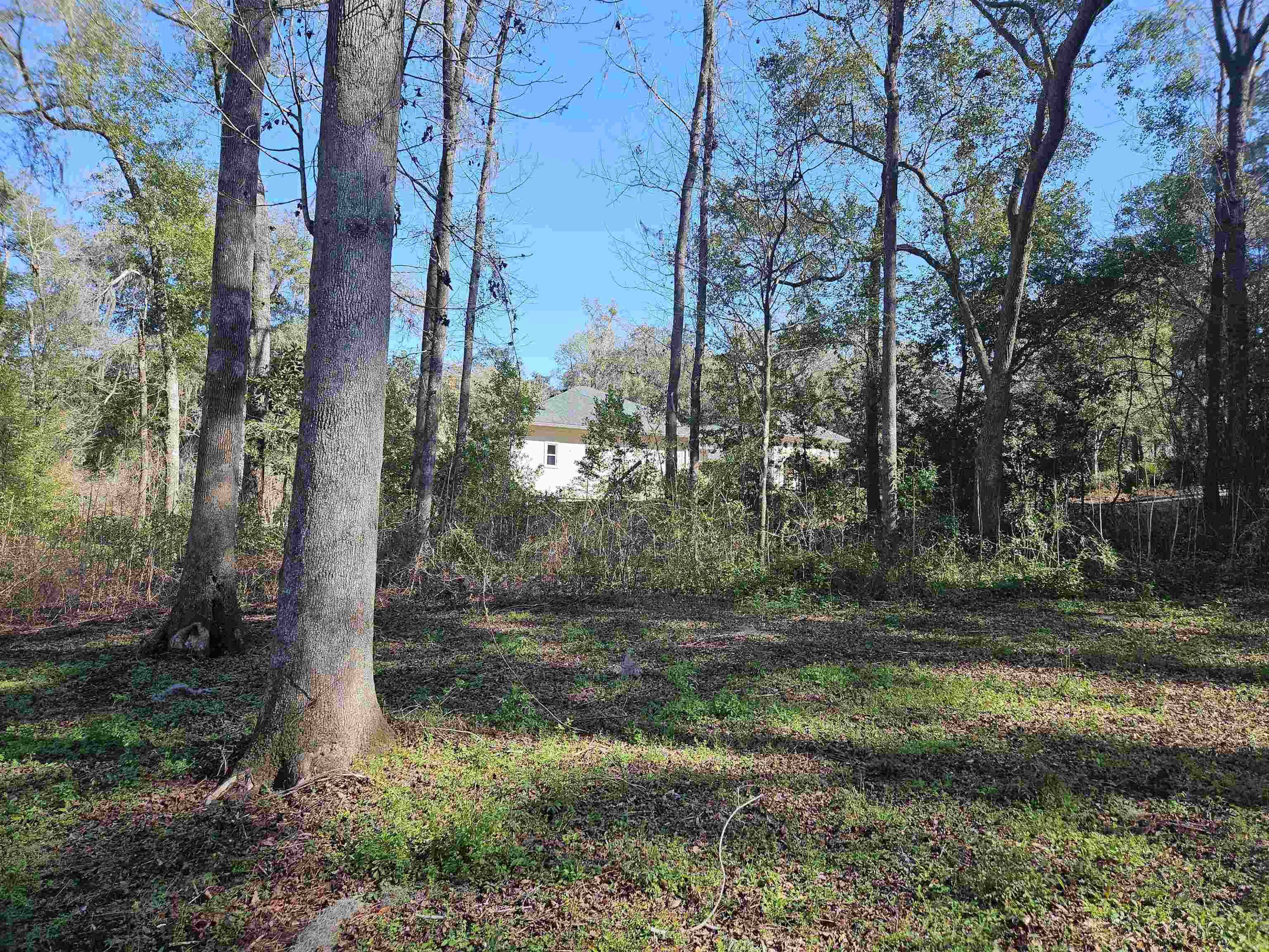 3305 Charleston,TALLAHASSEE,Florida 32309,Lots and land,Charleston,369014