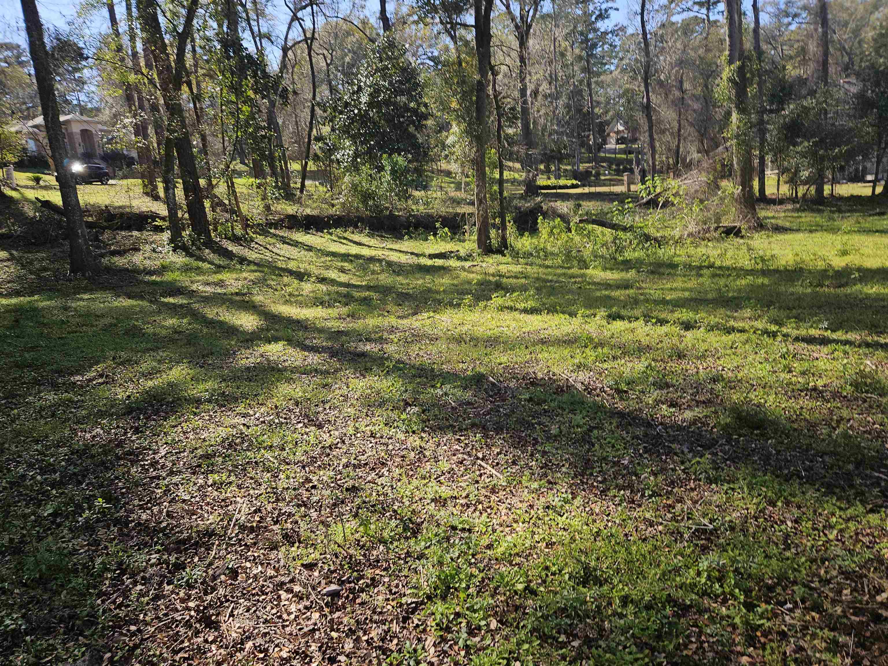 3305 Charleston,TALLAHASSEE,Florida 32309,Lots and land,Charleston,369014