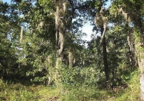 3733 Strickland Landing,PERRY,Florida 32348,Lots and land,Strickland Landing,366694