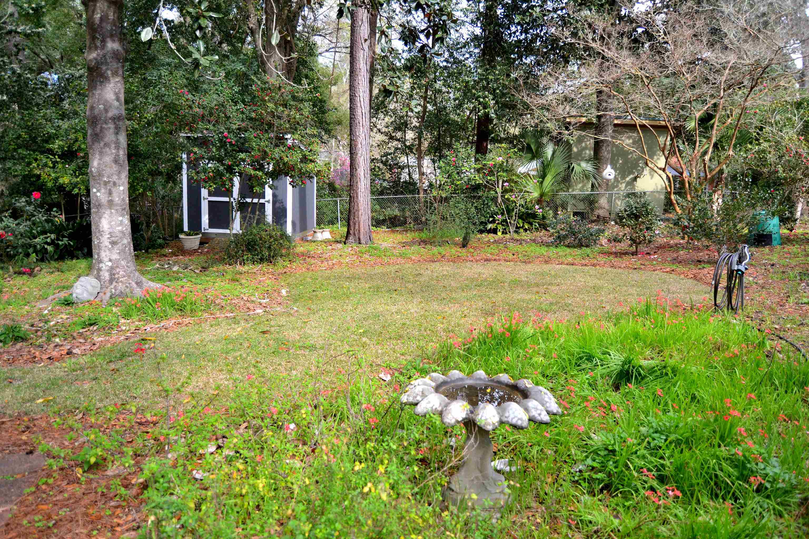 2119 E Dellview Drive,TALLAHASSEE,Florida 32303,1 Bedroom Bedrooms,1 BathroomBathrooms,Detached single family,2119 E Dellview Drive,369232