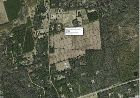 Lot 10 Golden,CRAWFORDVILLE,Florida 32327,Lots and land,Golden,362088