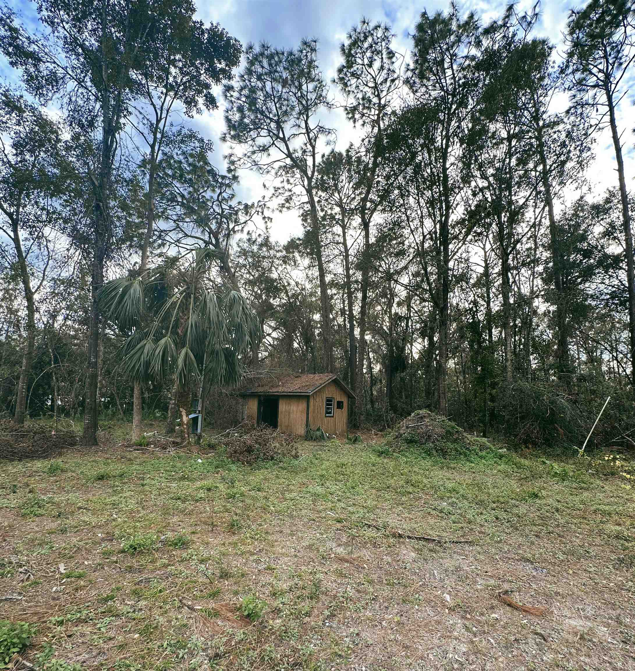 3575 Woodmore,PERRY,Florida 32348,Lots and land,Woodmore,366732