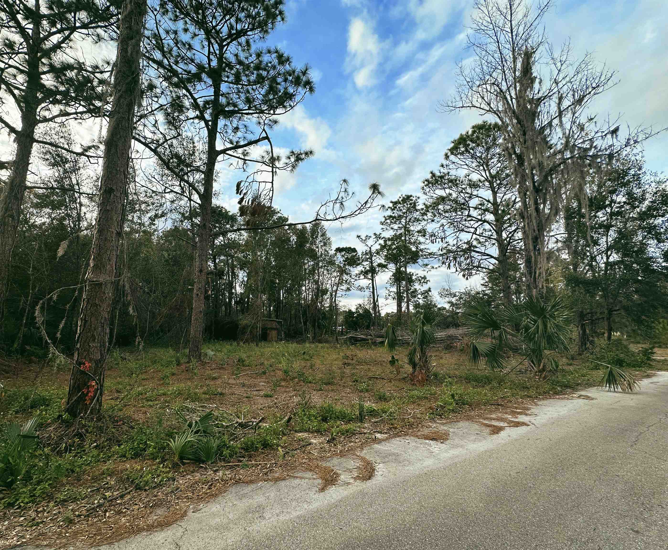 3575 Woodmore,PERRY,Florida 32348,Lots and land,Woodmore,366732