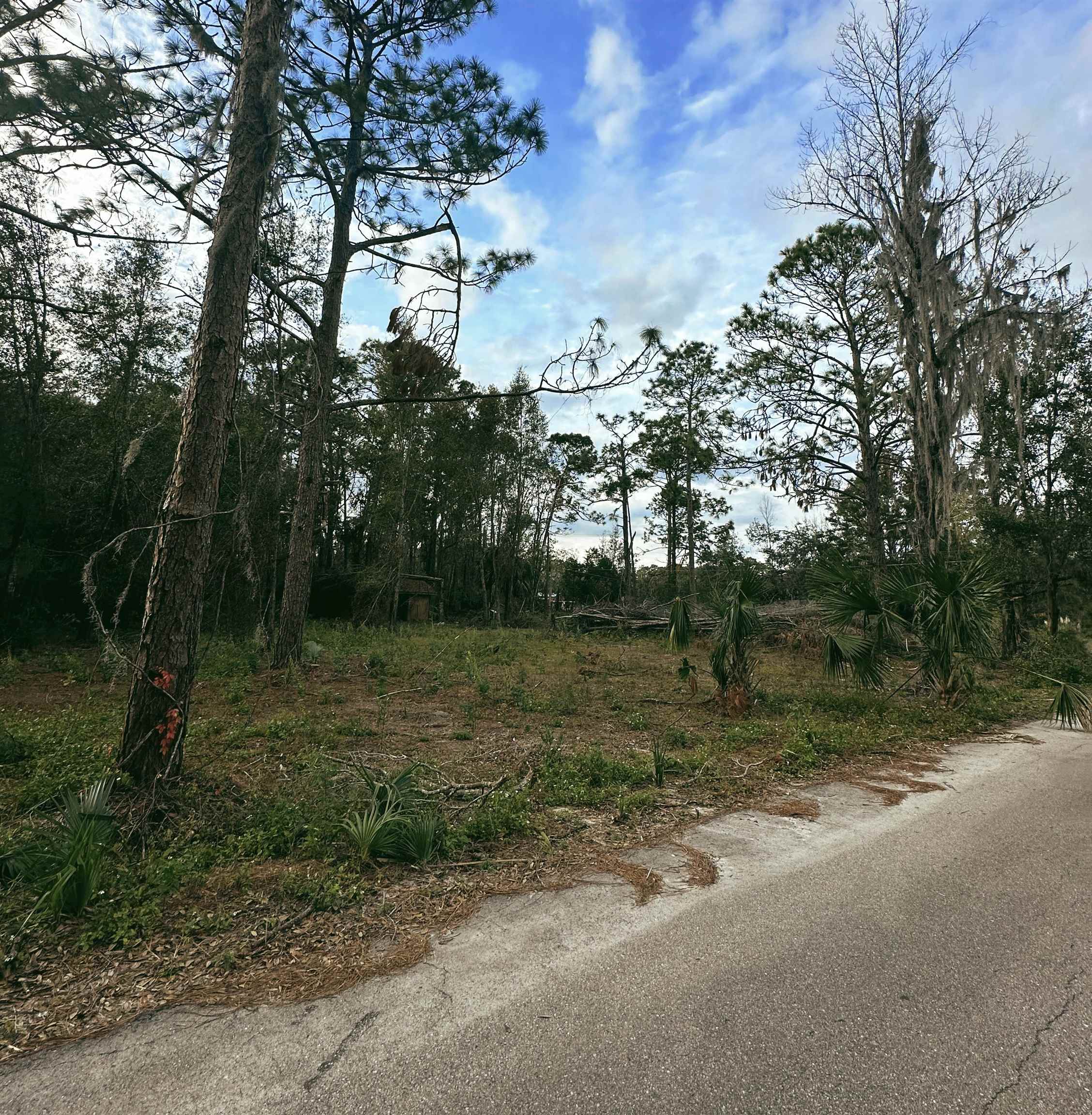 3575 Woodmore,PERRY,Florida 32348,Lots and land,Woodmore,366732