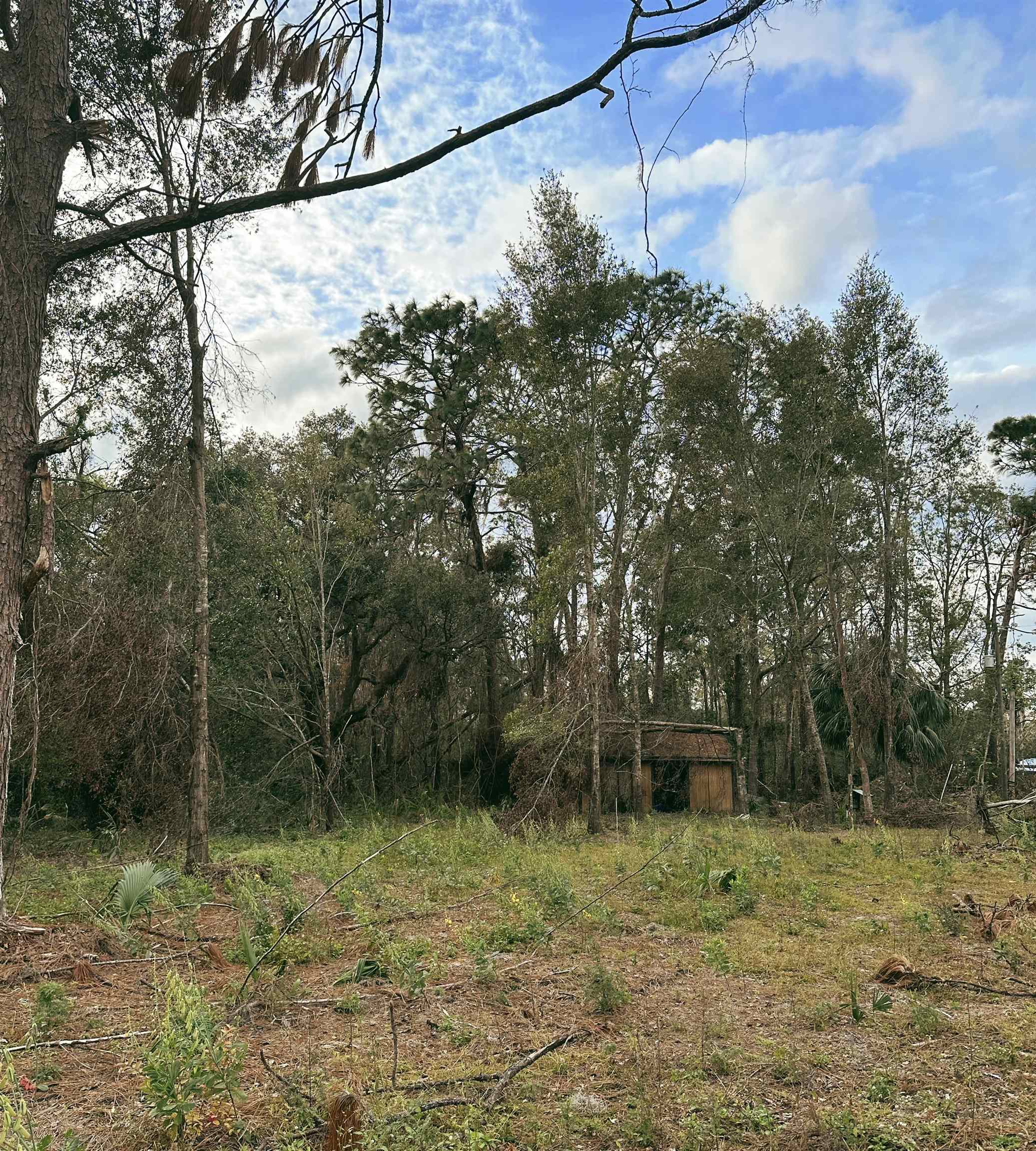 3575 Woodmore,PERRY,Florida 32348,Lots and land,Woodmore,366732