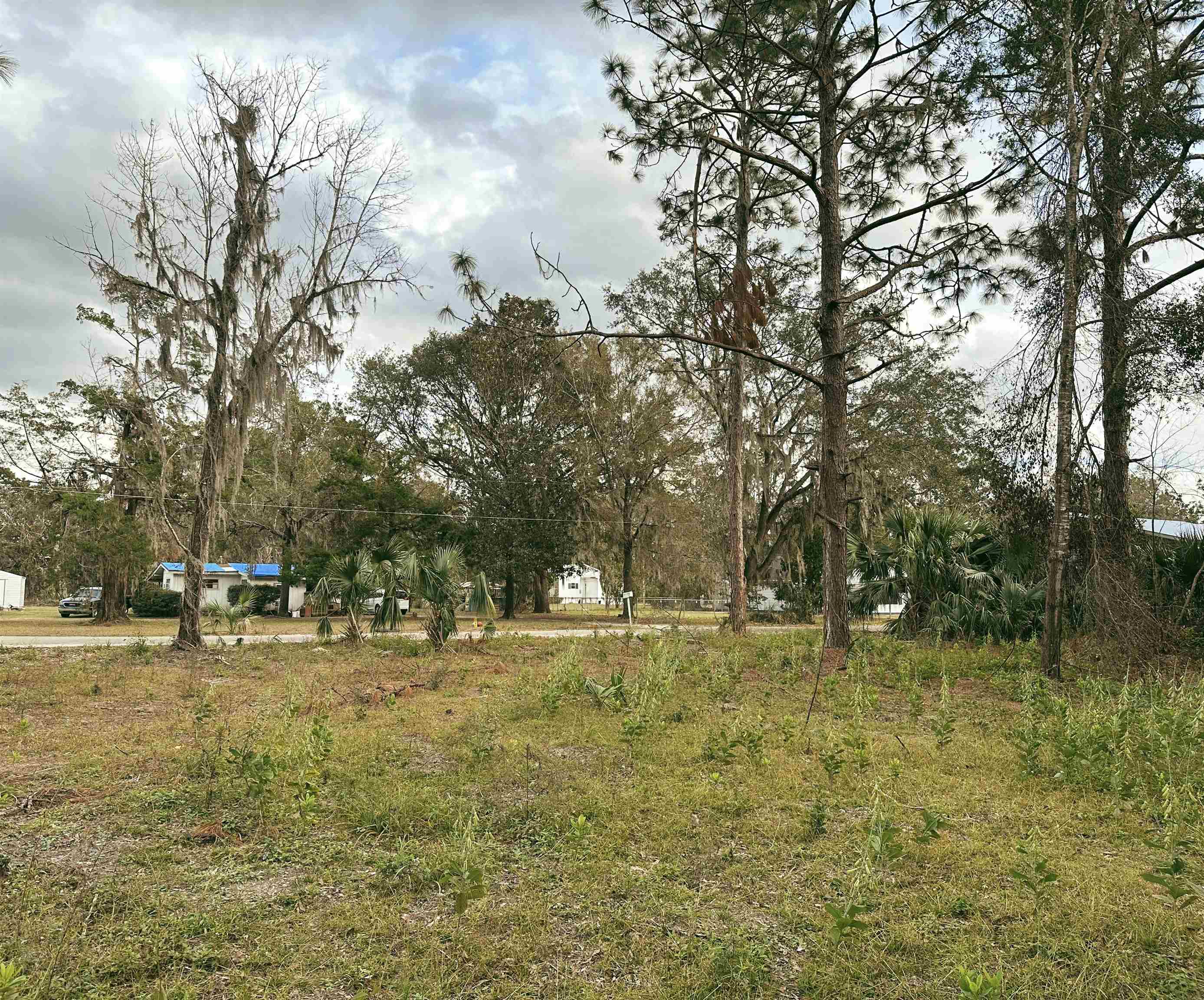 3575 Woodmore,PERRY,Florida 32348,Lots and land,Woodmore,366732