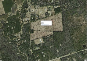 Lot 49 Golden,CRAWFORDVILLE,Florida 32327,Lots and land,Golden,362100