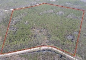 000 Circle Block,GREENVILLE,Florida 32331,Lots and land,Circle Block,369041