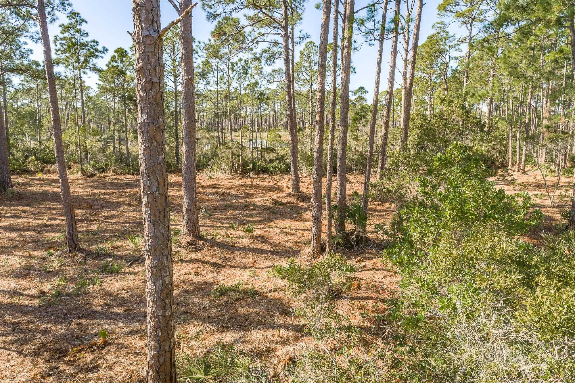 200,202 & 204 Maple,ALLIGATOR POINT,Florida 32346-5118,Lots and land,Maple,366790