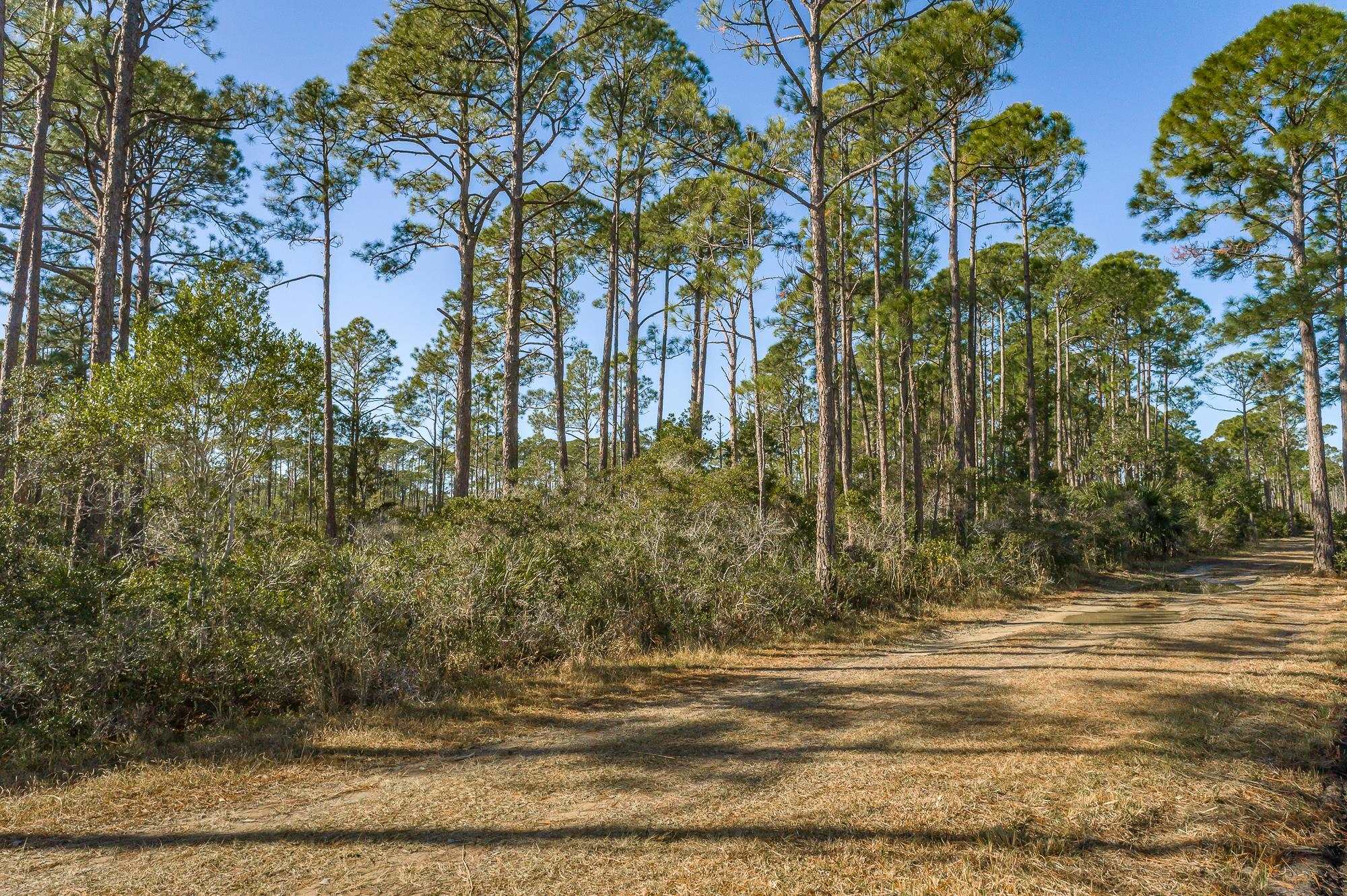 200,202 & 204 Maple,ALLIGATOR POINT,Florida 32346-5118,Lots and land,Maple,366790