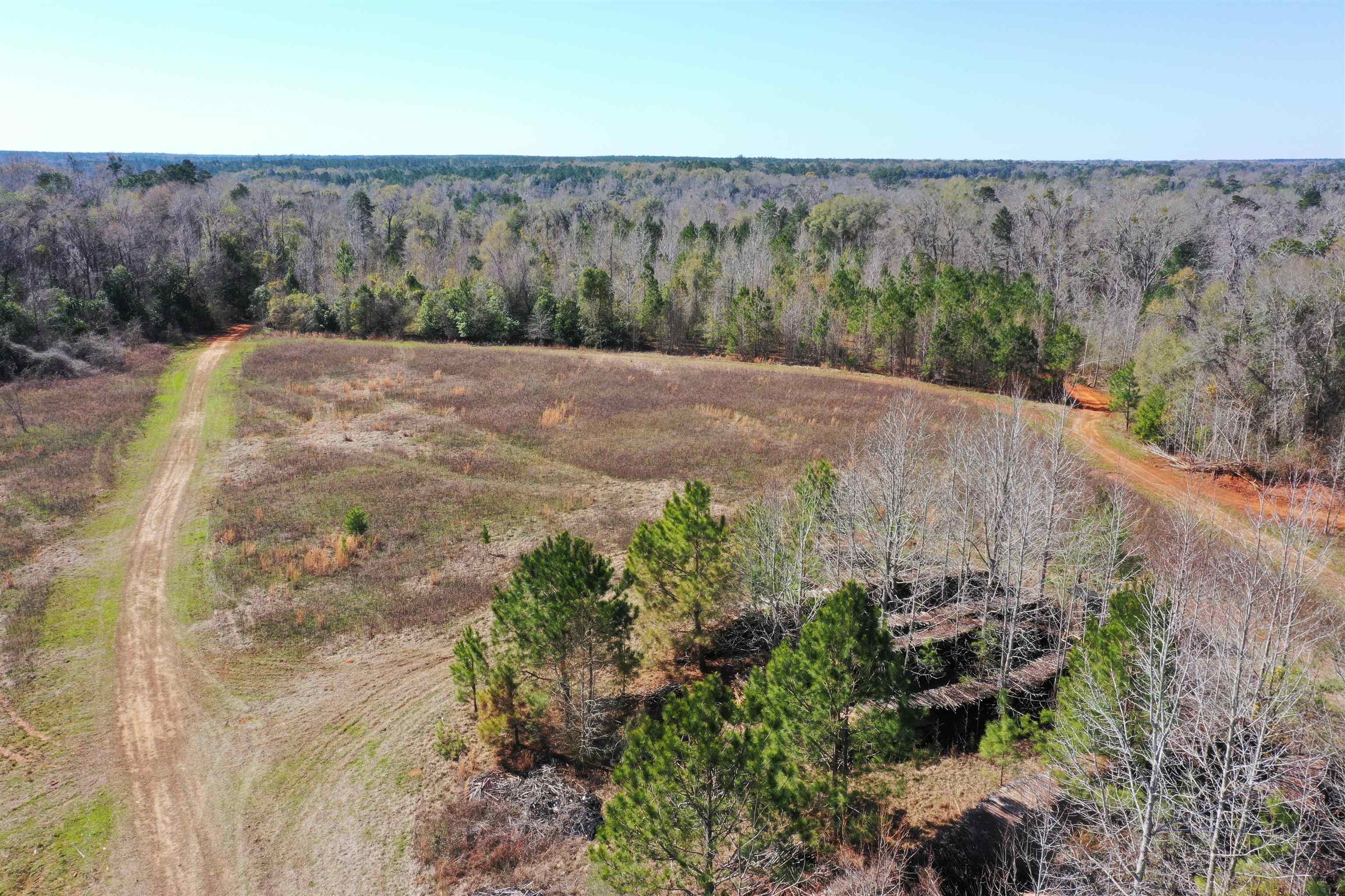 XX Harbin,QUINCY,Florida 32351,Lots and land,Harbin,369042