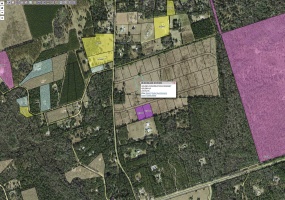 Lot 55 Golden,CRAWFORDVILLE,Florida 32327,Lots and land,Golden,362103