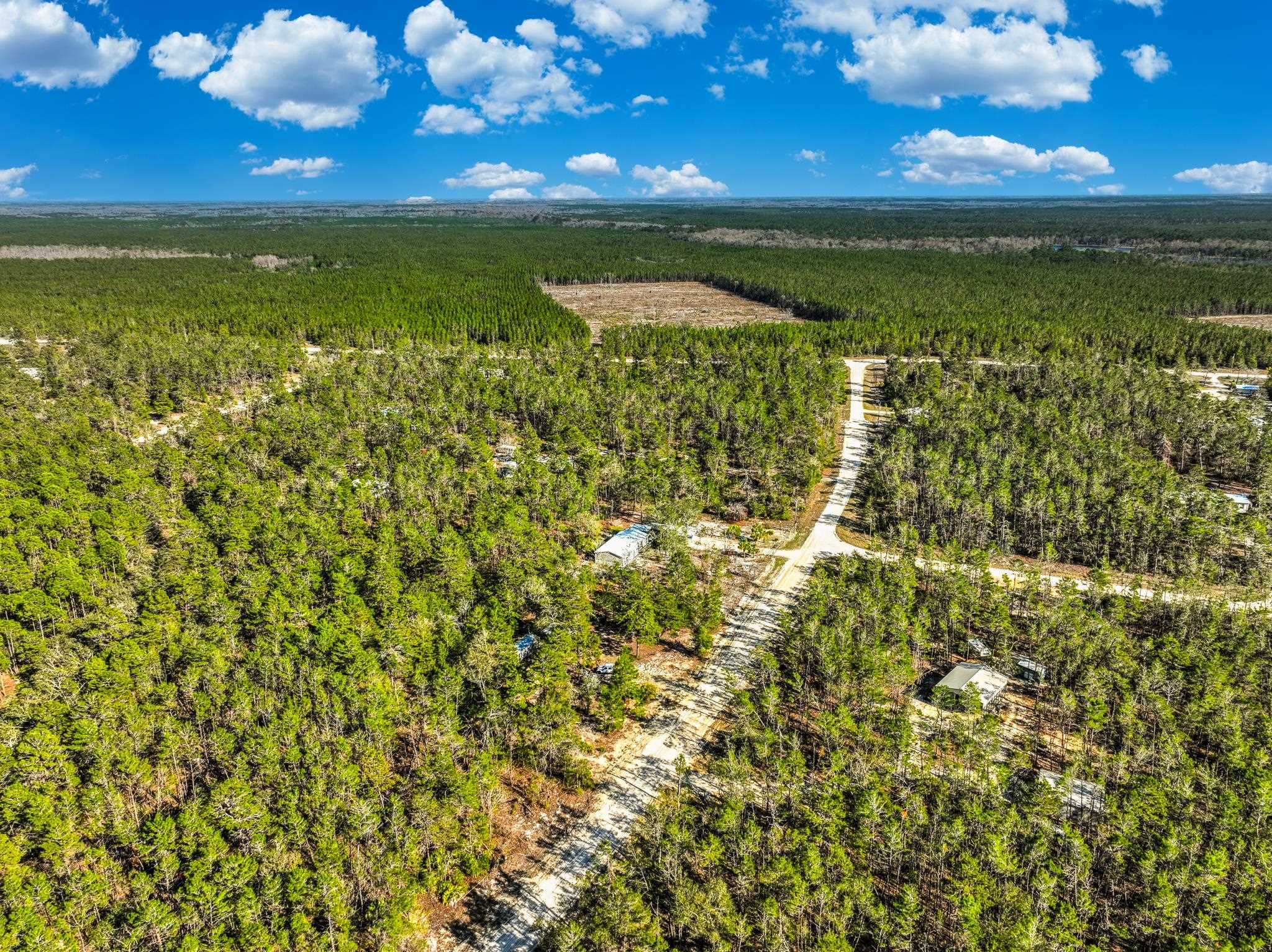 18960 Blacktail,PERRY,Florida 32348,Lots and land,Blacktail,369048