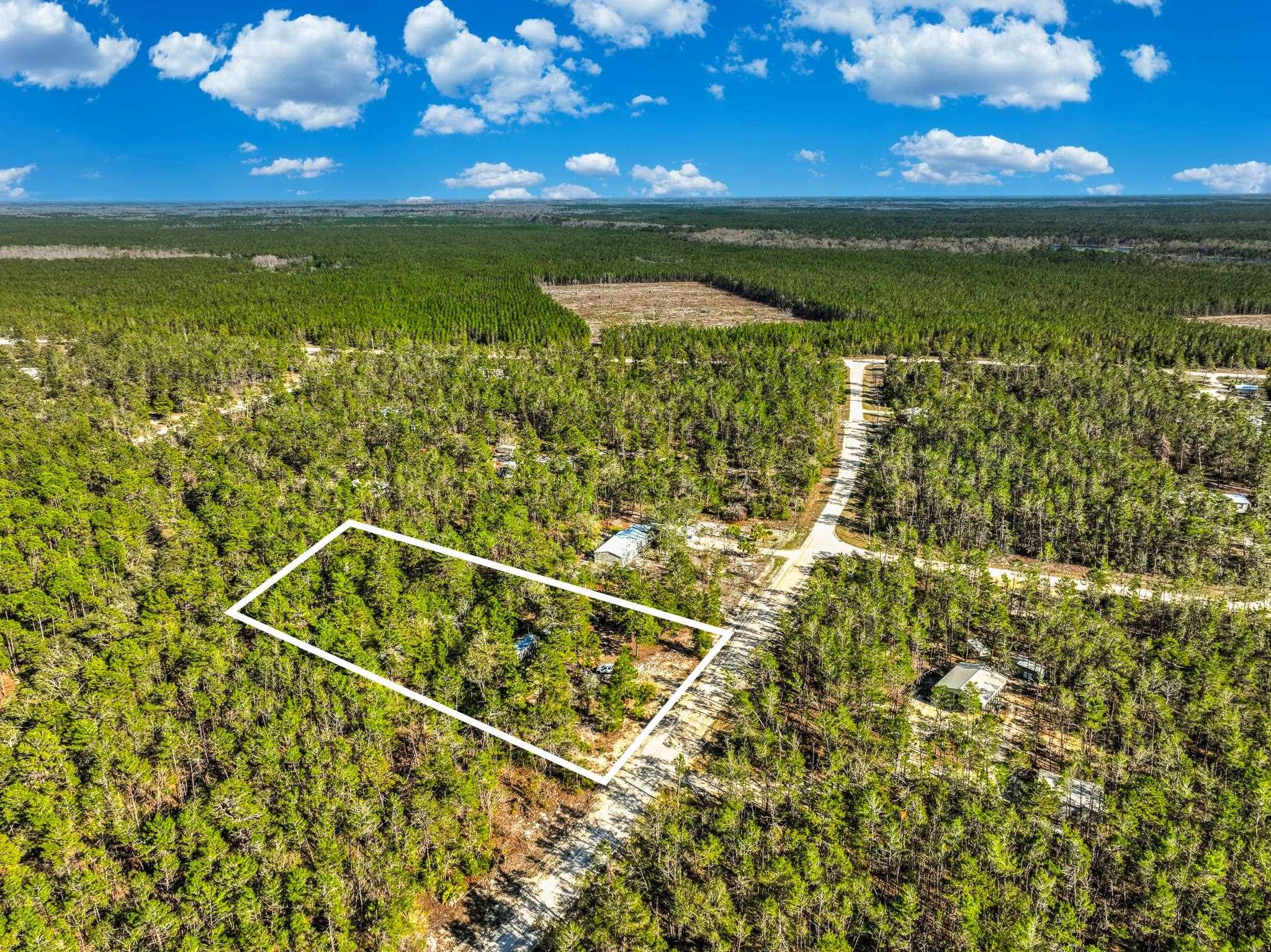 18960 Blacktail,PERRY,Florida 32348,Lots and land,Blacktail,369048