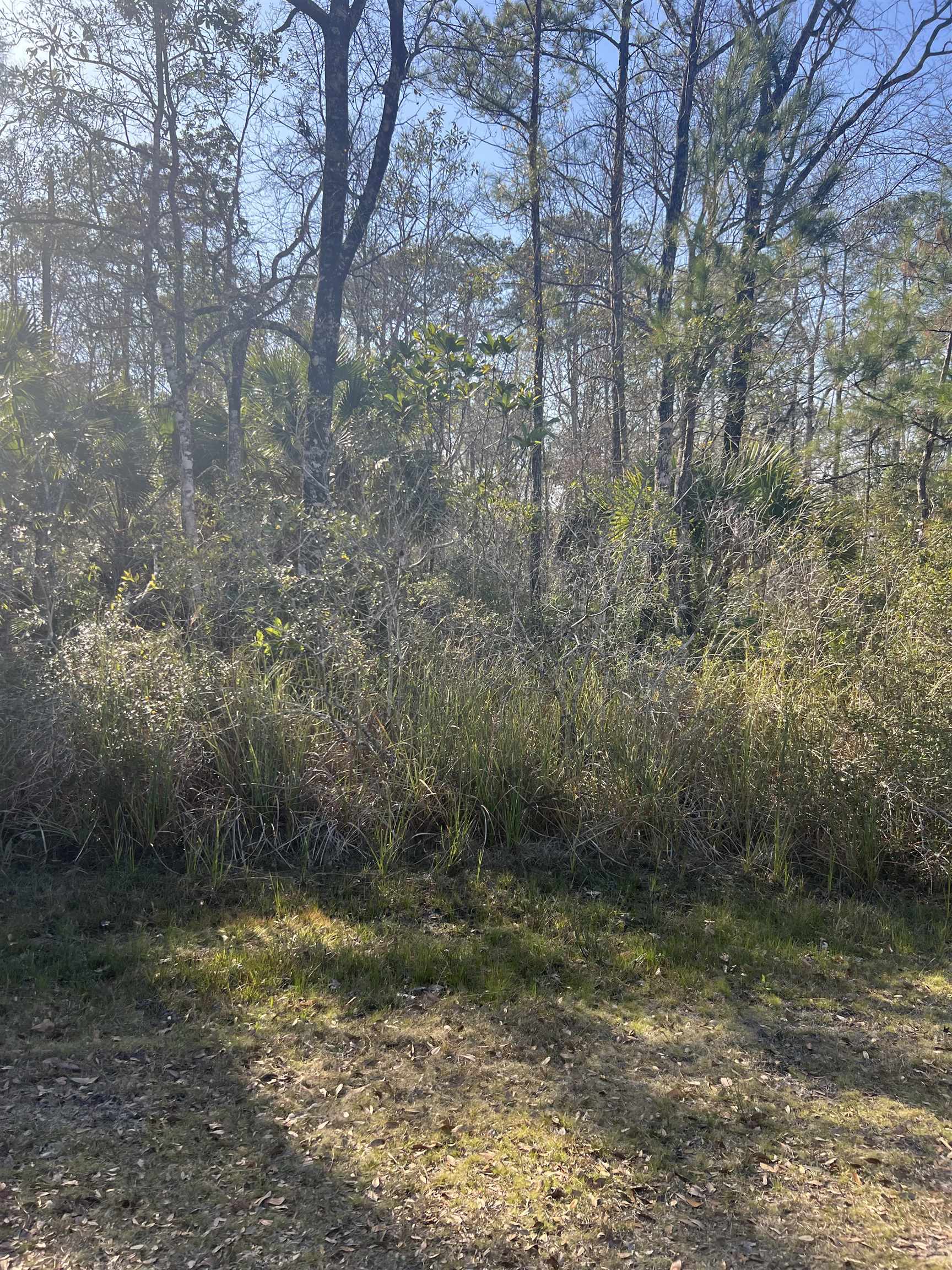 XX Burnt Pine,ST MARKS,Florida 32355,Lots and land,Burnt Pine,369054