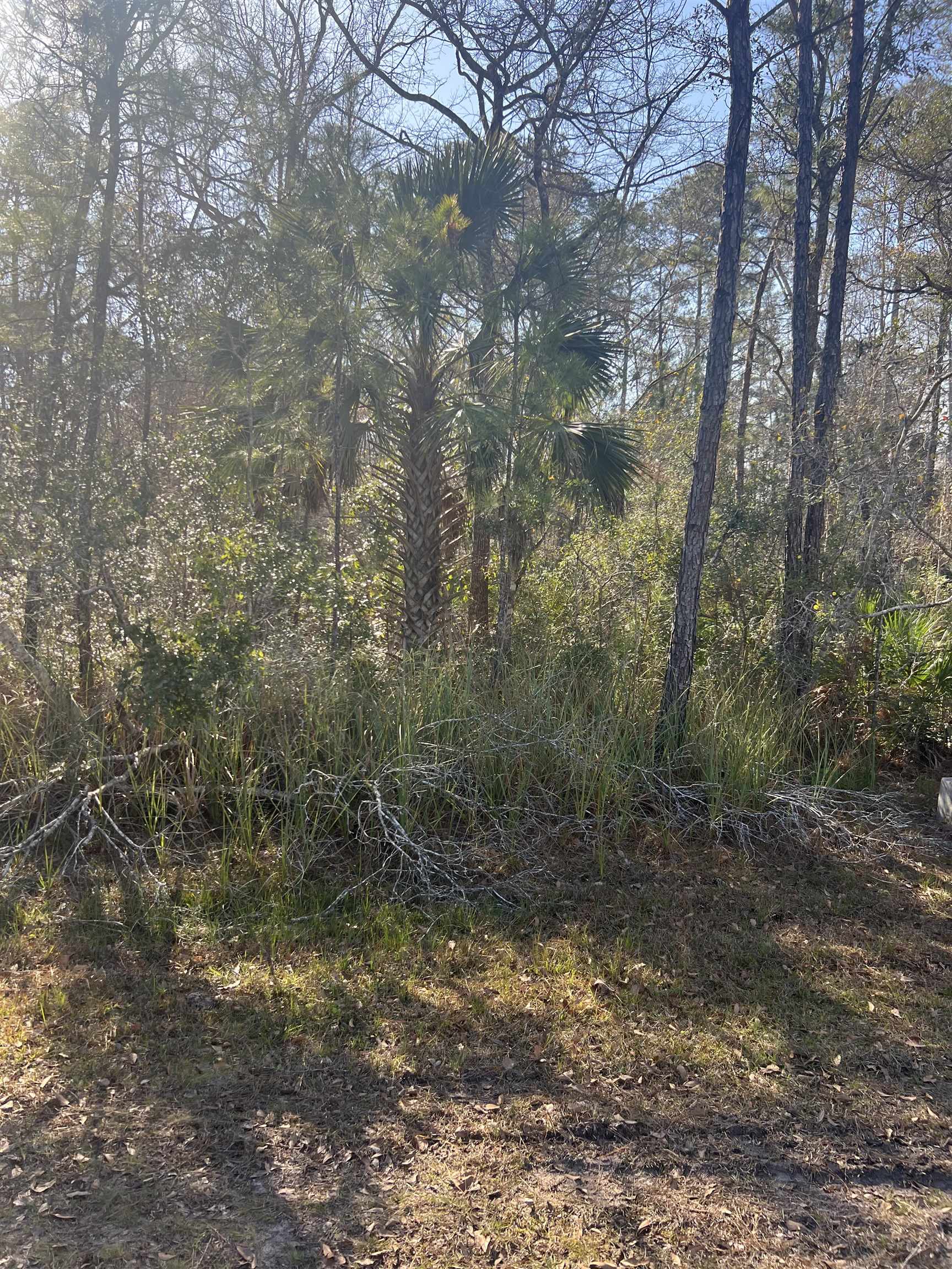 XX Burnt Pine,ST MARKS,Florida 32355,Lots and land,Burnt Pine,369054