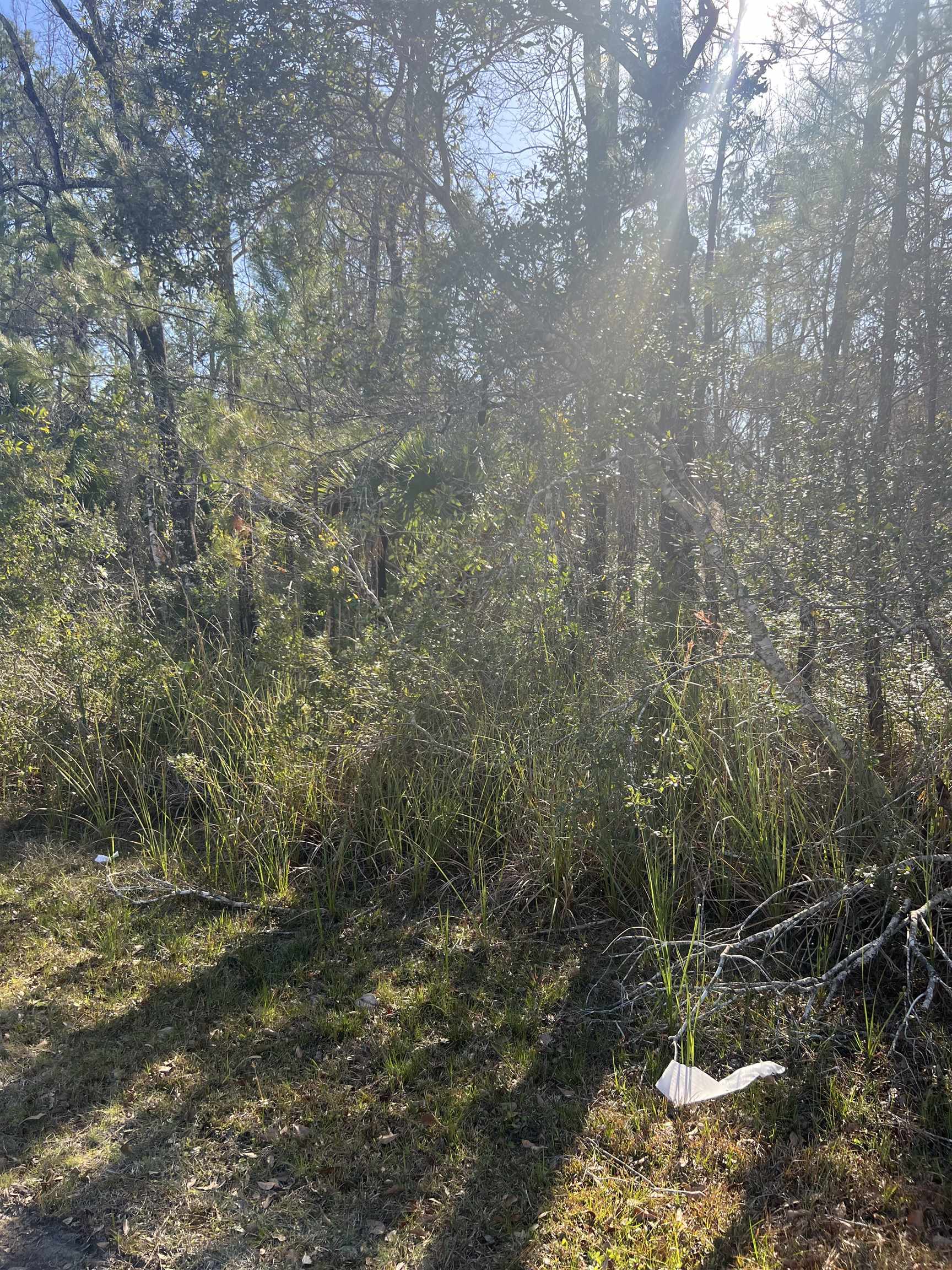 XX Burnt Pine,ST MARKS,Florida 32355,Lots and land,Burnt Pine,369054