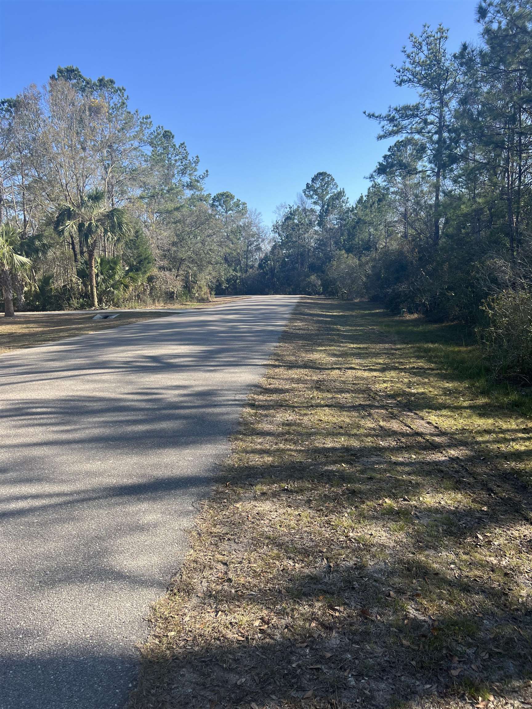 XX Burnt Pine,ST MARKS,Florida 32355,Lots and land,Burnt Pine,369054