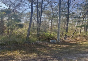 XX Burnt Pine,ST MARKS,Florida 32355,Lots and land,Burnt Pine,369054