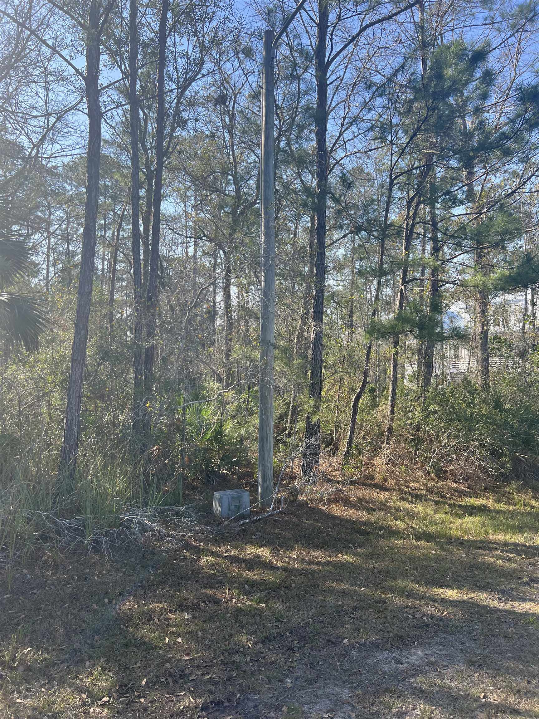 XX Burnt Pine,ST MARKS,Florida 32355,Lots and land,Burnt Pine,369055