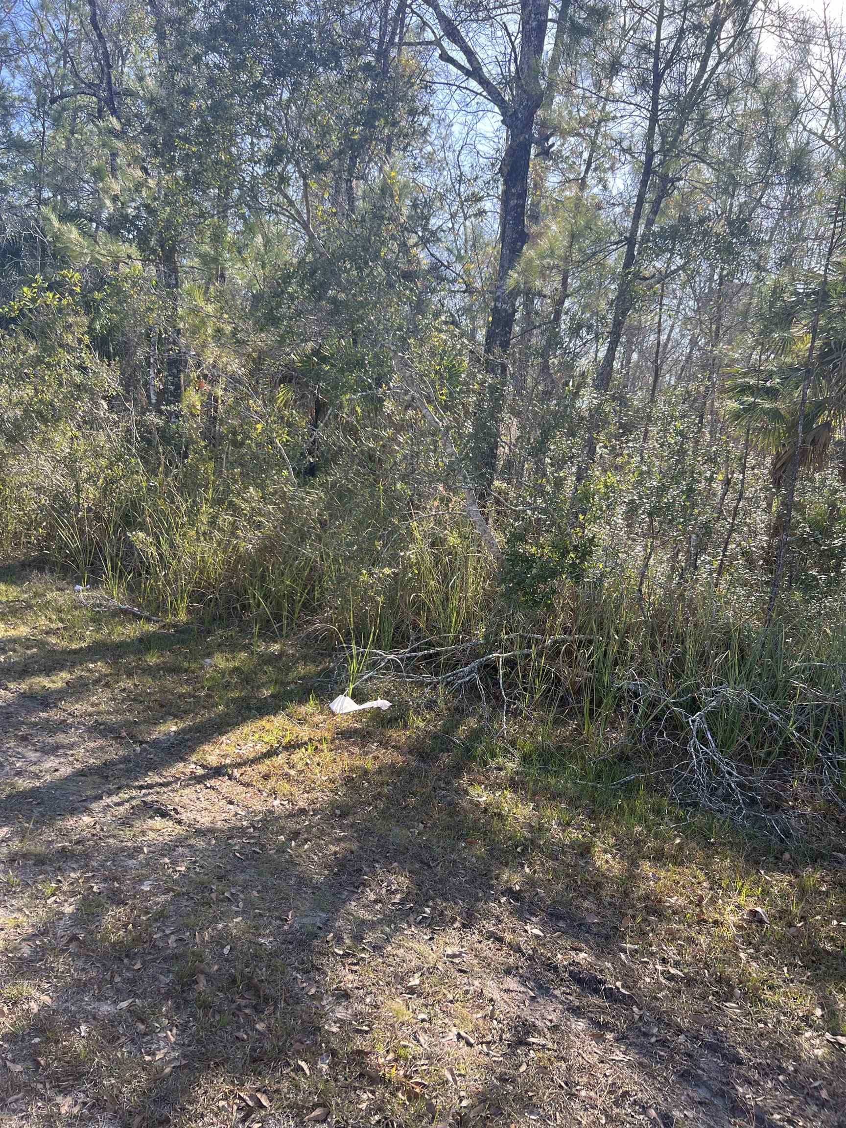 XX Burnt Pine,ST MARKS,Florida 32355,Lots and land,Burnt Pine,369055