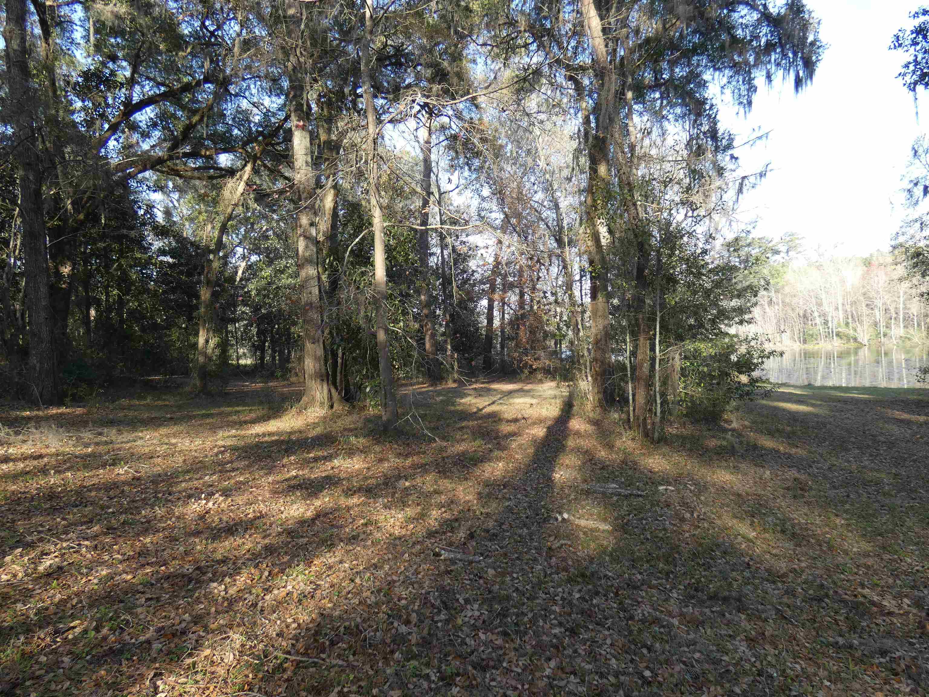 TBD Rainey Run,MONTICELLO,Florida 32344,Lots and land,Rainey Run,369059