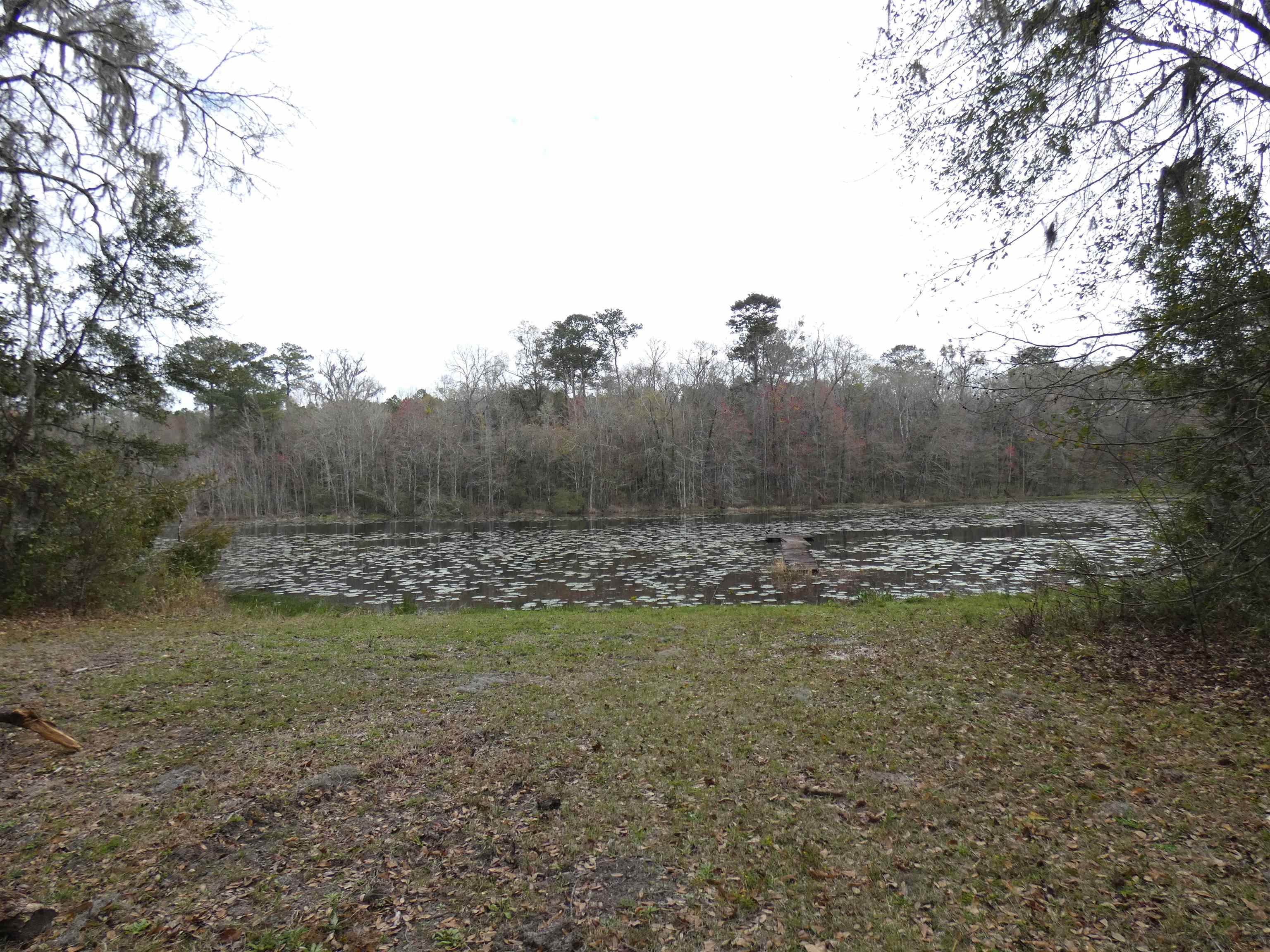 TBD Rainey Run,MONTICELLO,Florida 32344,Lots and land,Rainey Run,369059