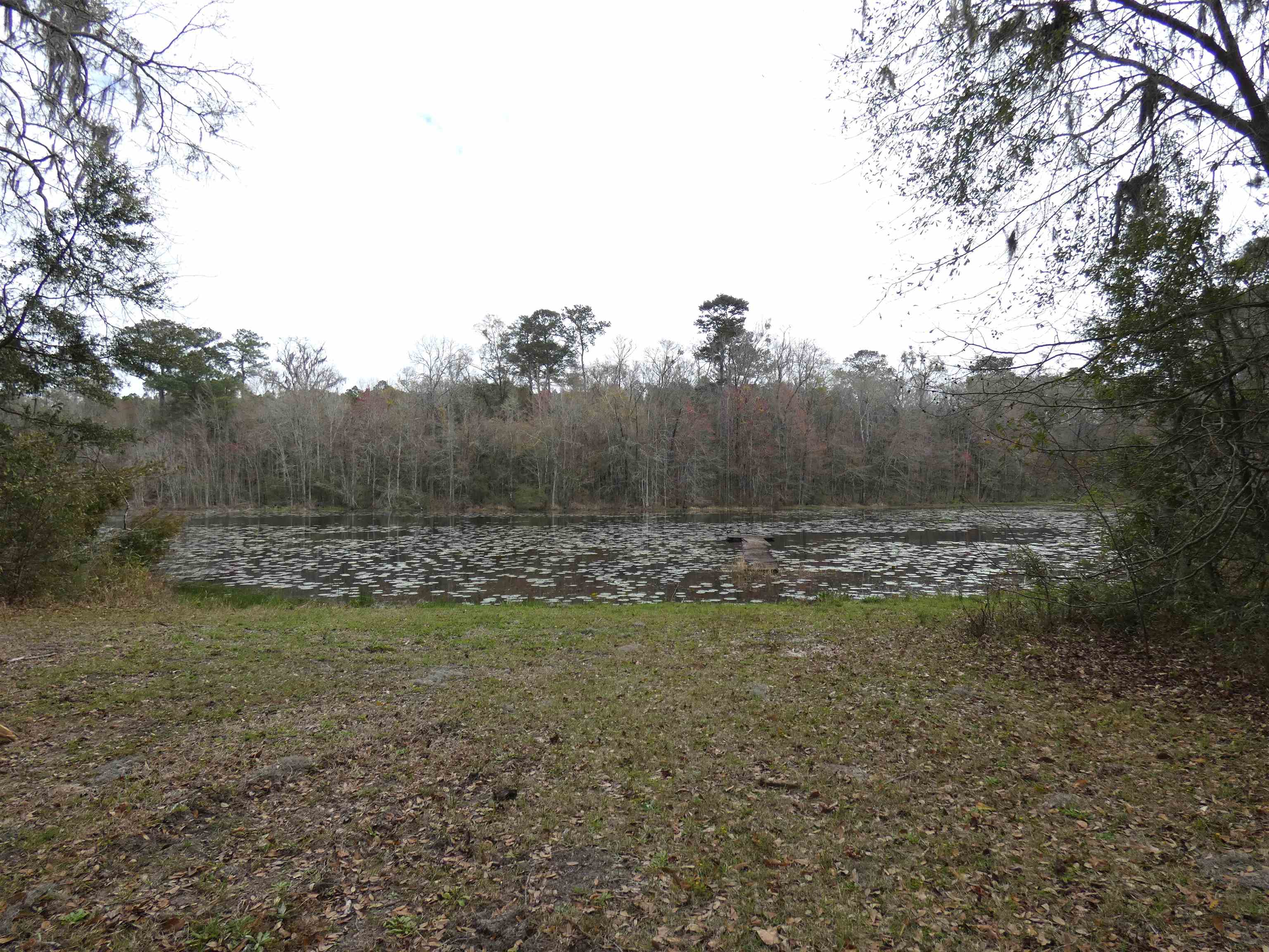 TBD Rainey Run,MONTICELLO,Florida 32344,Lots and land,Rainey Run,369059