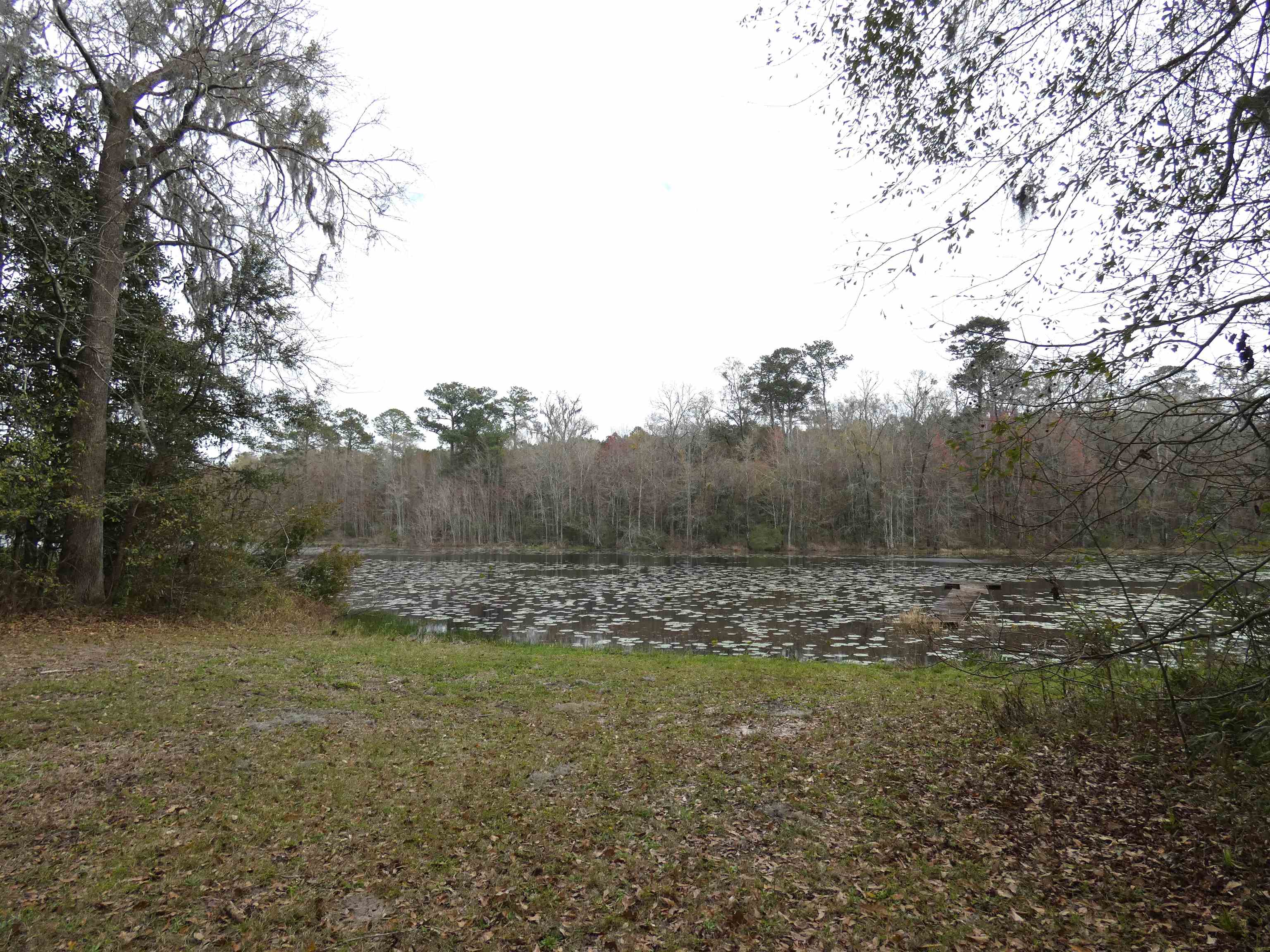 TBD Rainey Run,MONTICELLO,Florida 32344,Lots and land,Rainey Run,369059