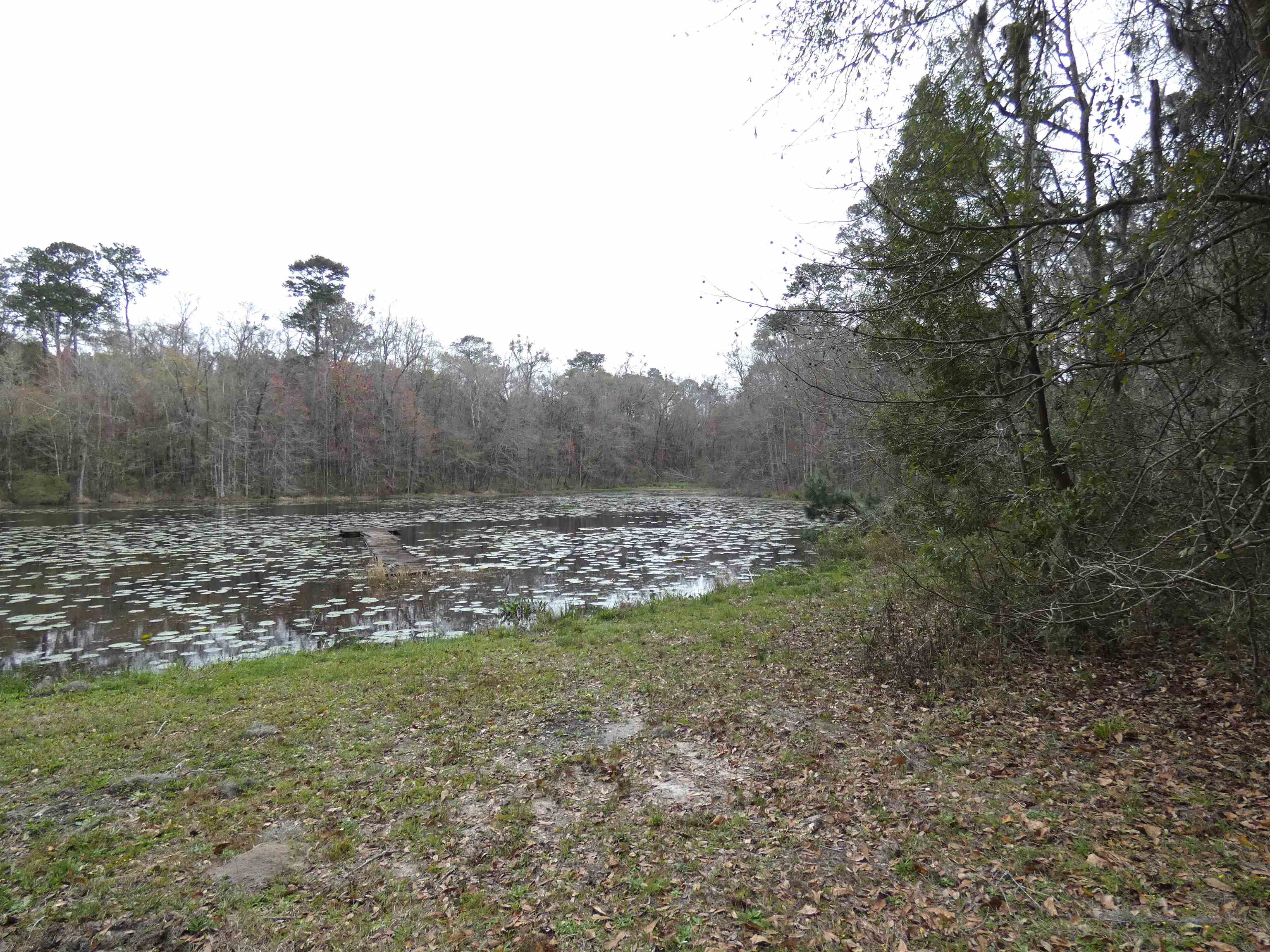 TBD Rainey Run,MONTICELLO,Florida 32344,Lots and land,Rainey Run,369059