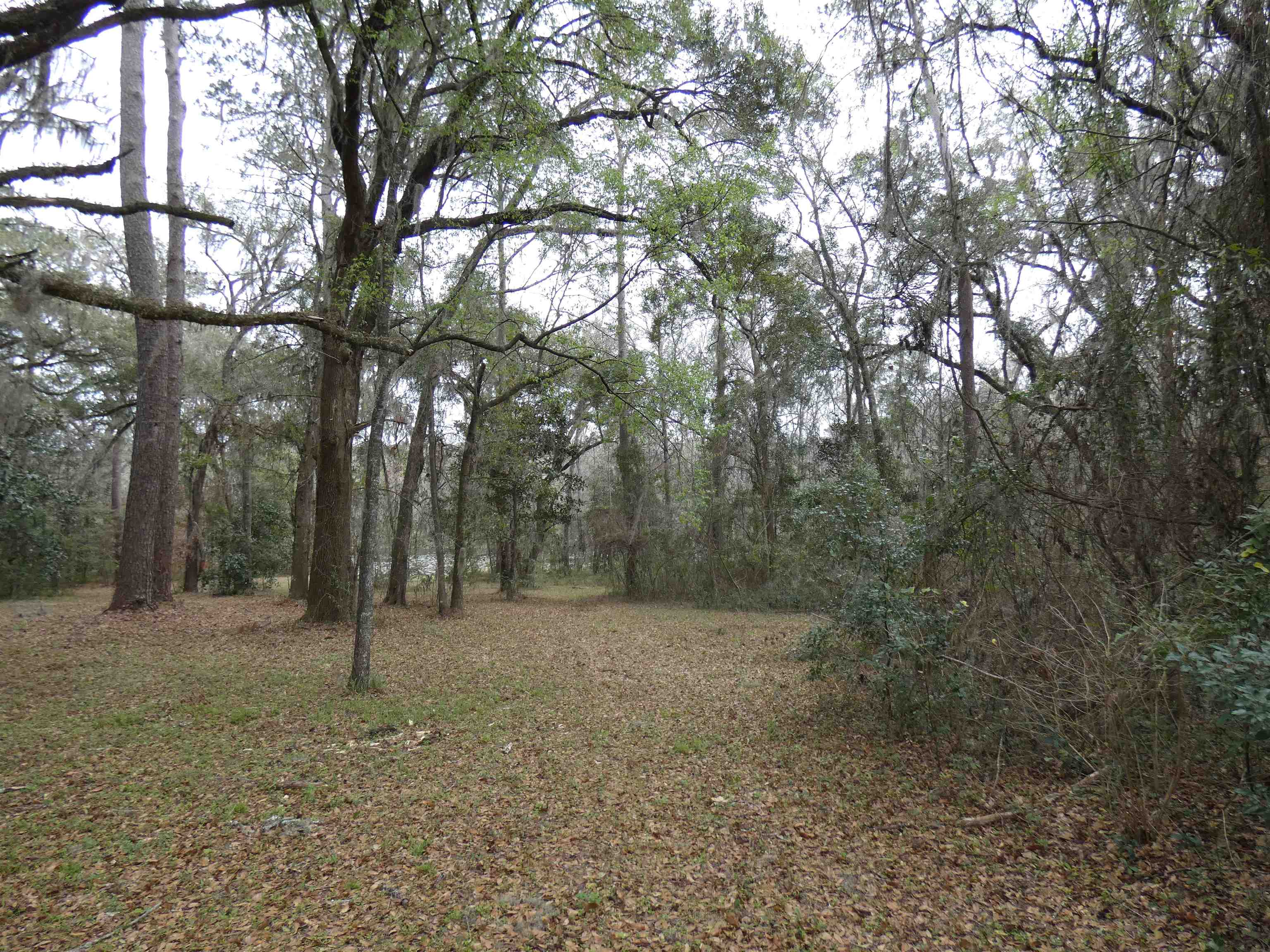 TBD Rainey Run,MONTICELLO,Florida 32344,Lots and land,Rainey Run,369059