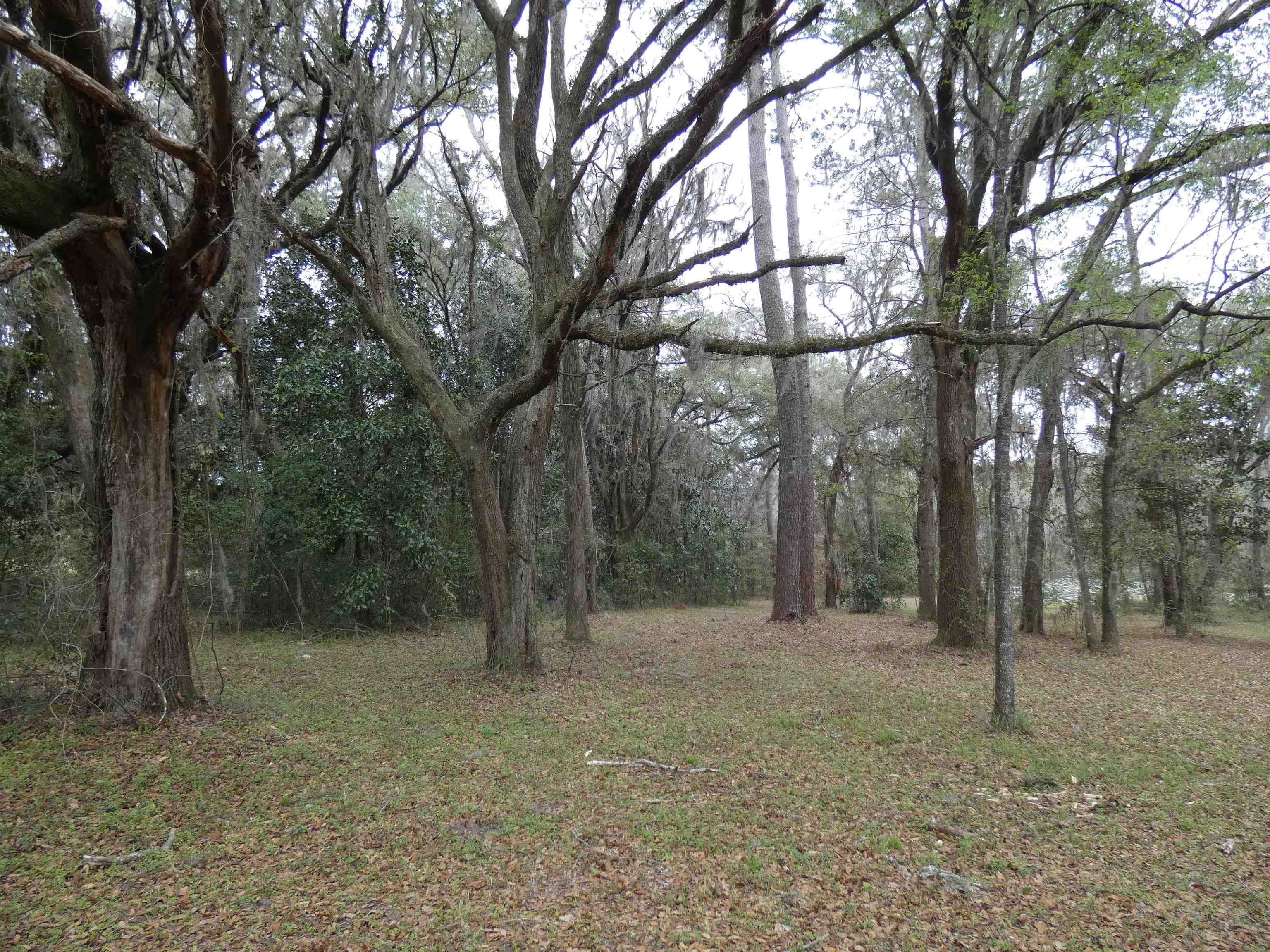 TBD Rainey Run,MONTICELLO,Florida 32344,Lots and land,Rainey Run,369059