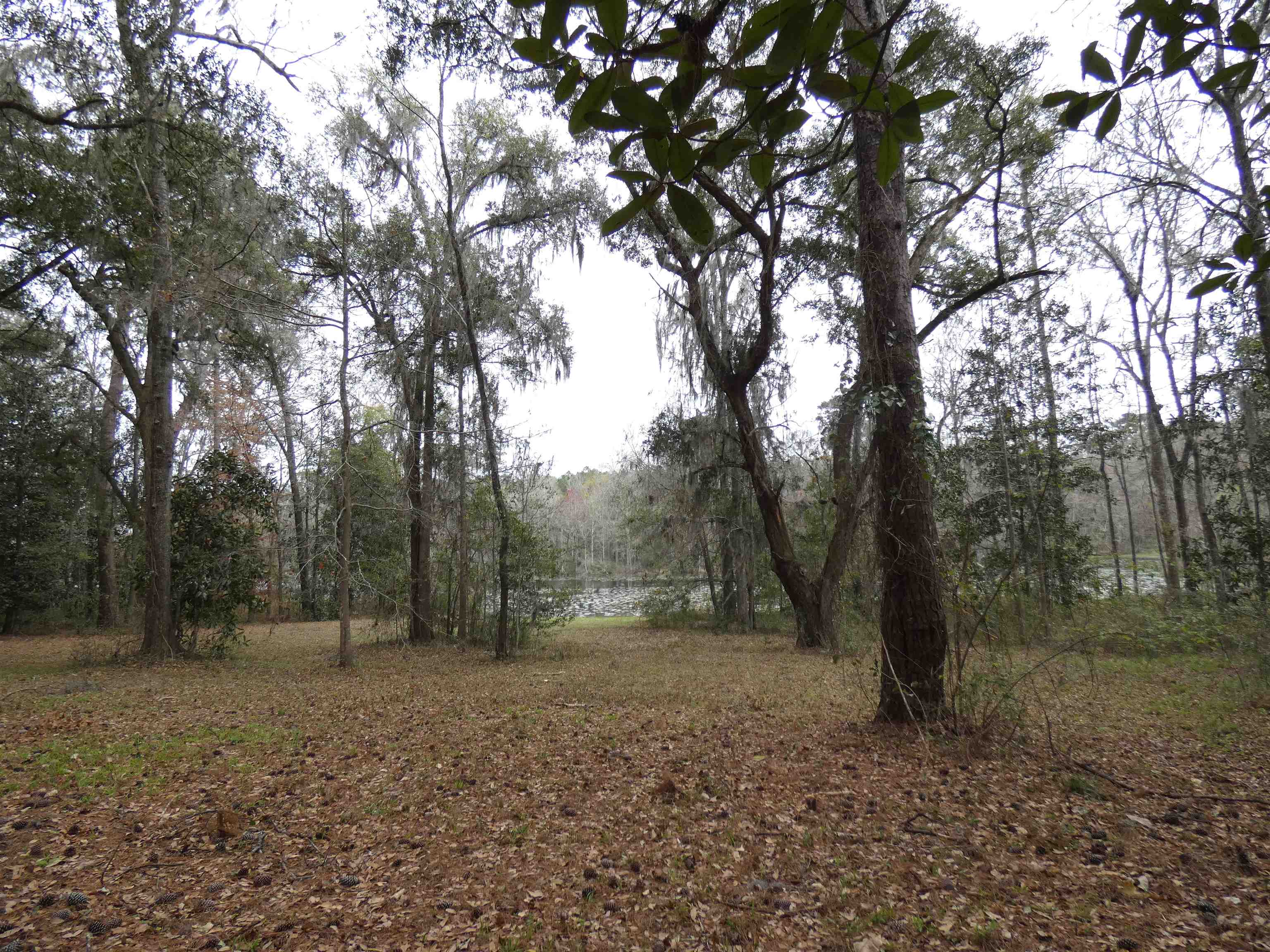 TBD Rainey Run,MONTICELLO,Florida 32344,Lots and land,Rainey Run,369059