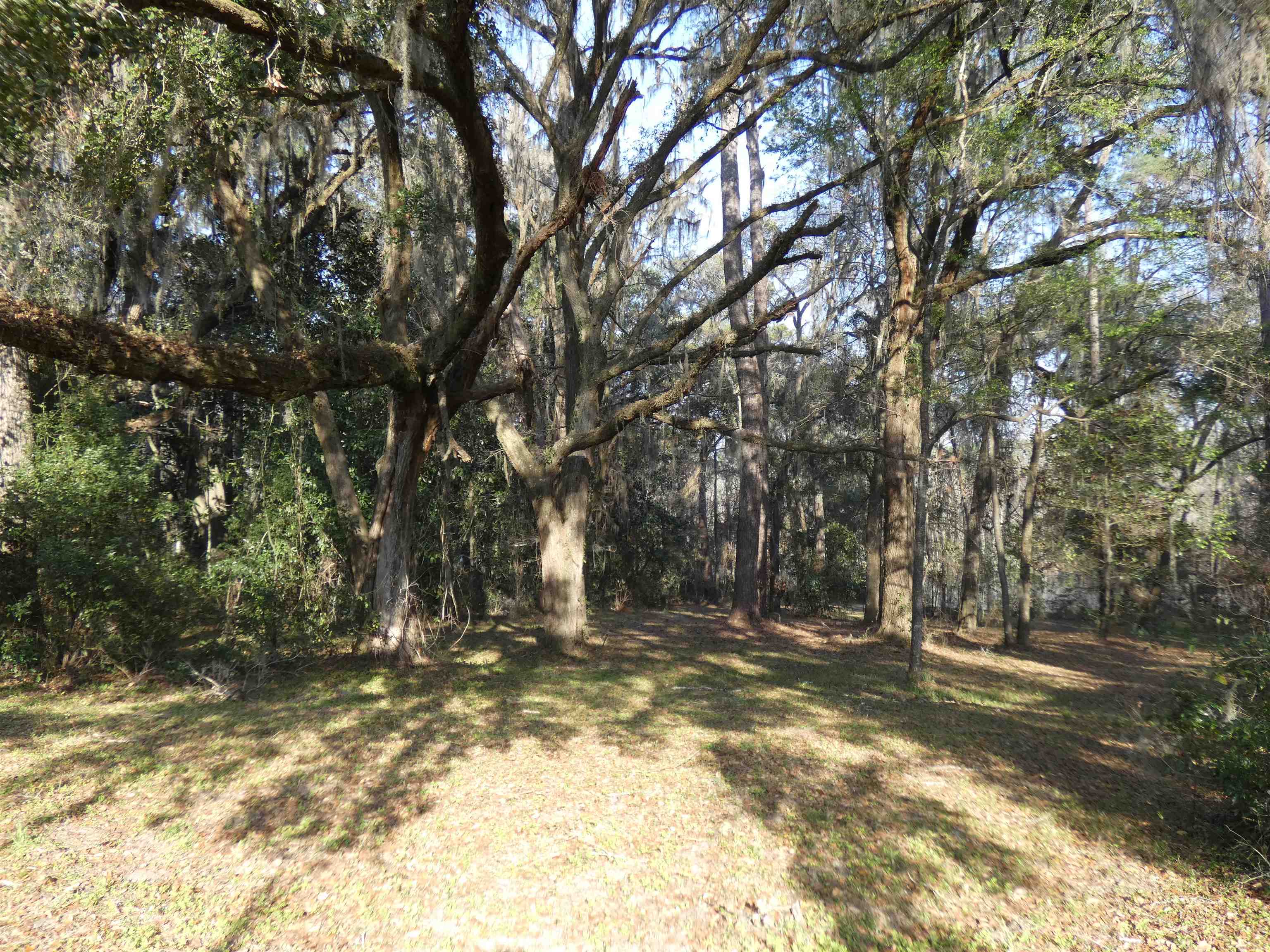 TBD Rainey Run,MONTICELLO,Florida 32344,Lots and land,Rainey Run,369059