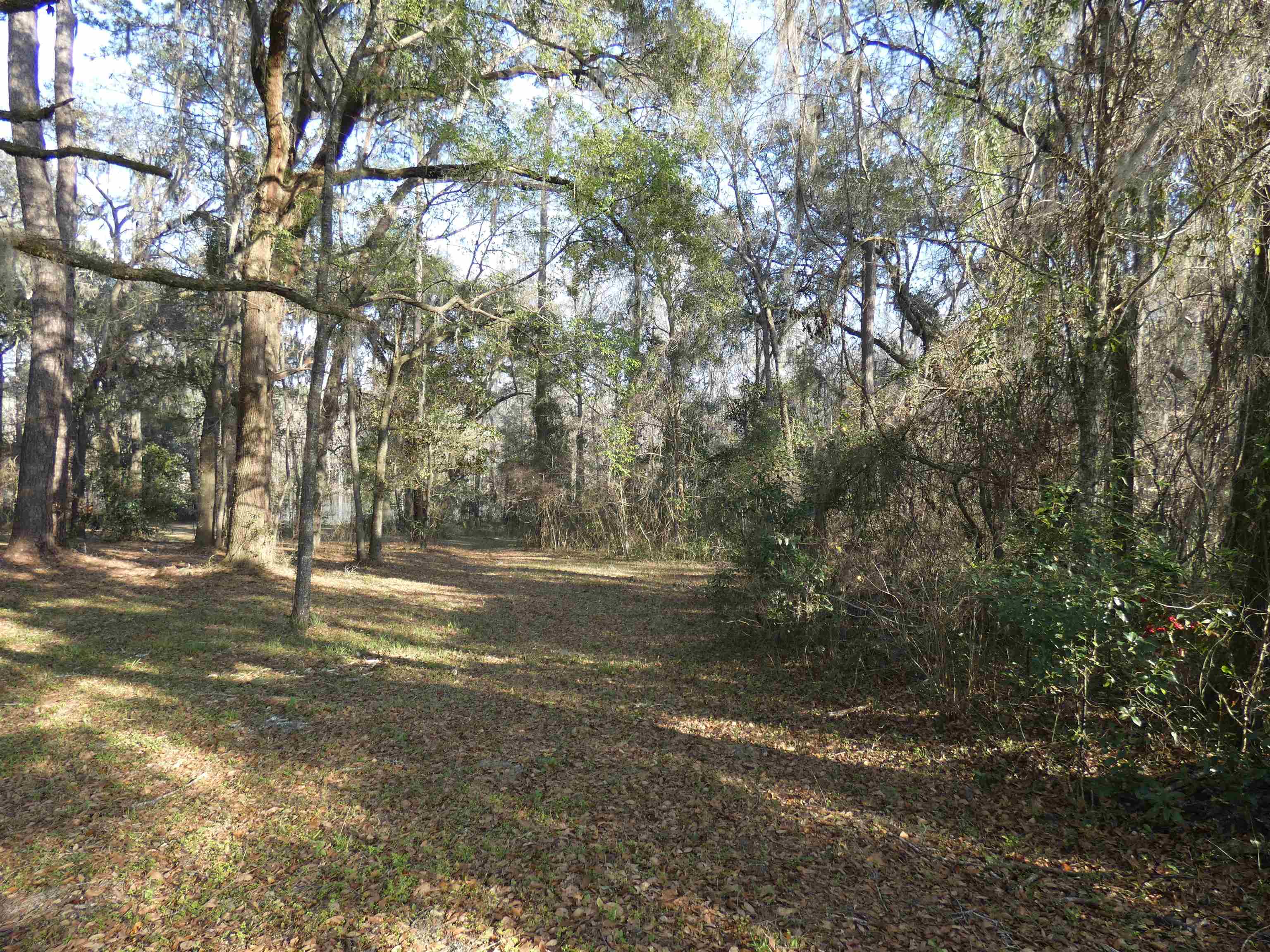 TBD Rainey Run,MONTICELLO,Florida 32344,Lots and land,Rainey Run,369059