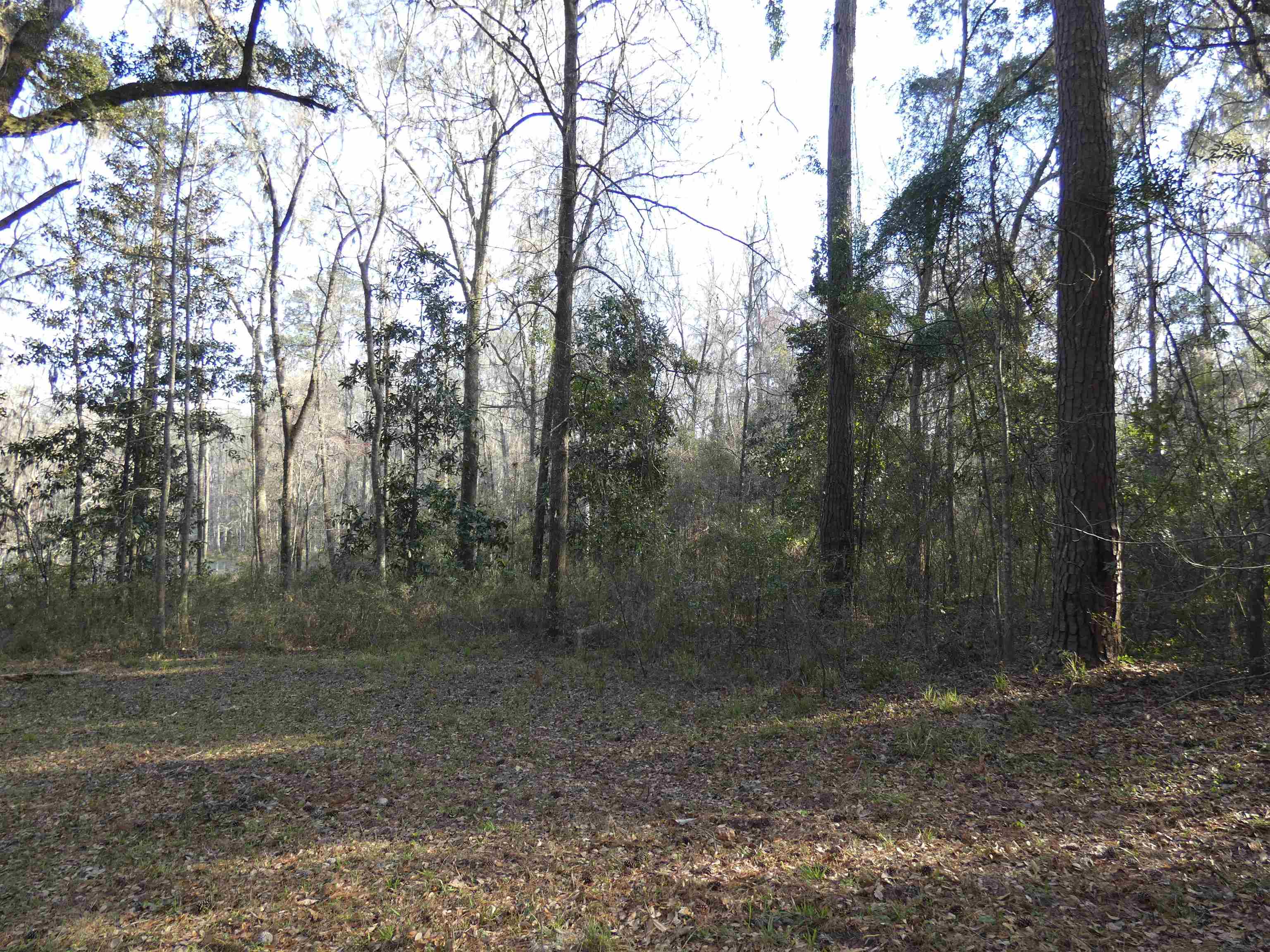 TBD Rainey Run,MONTICELLO,Florida 32344,Lots and land,Rainey Run,369059