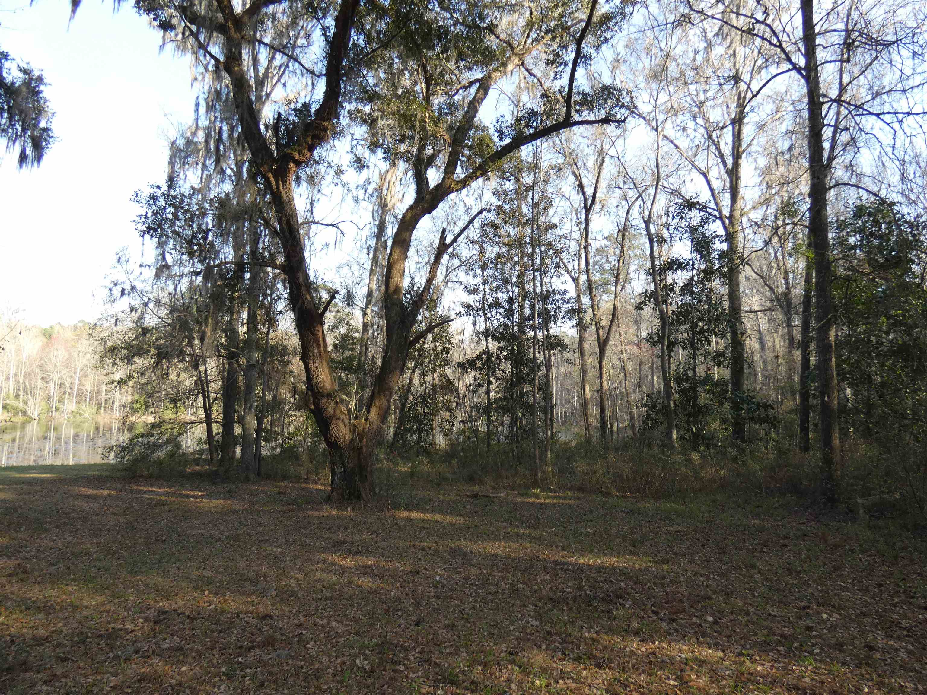 TBD Rainey Run,MONTICELLO,Florida 32344,Lots and land,Rainey Run,369059