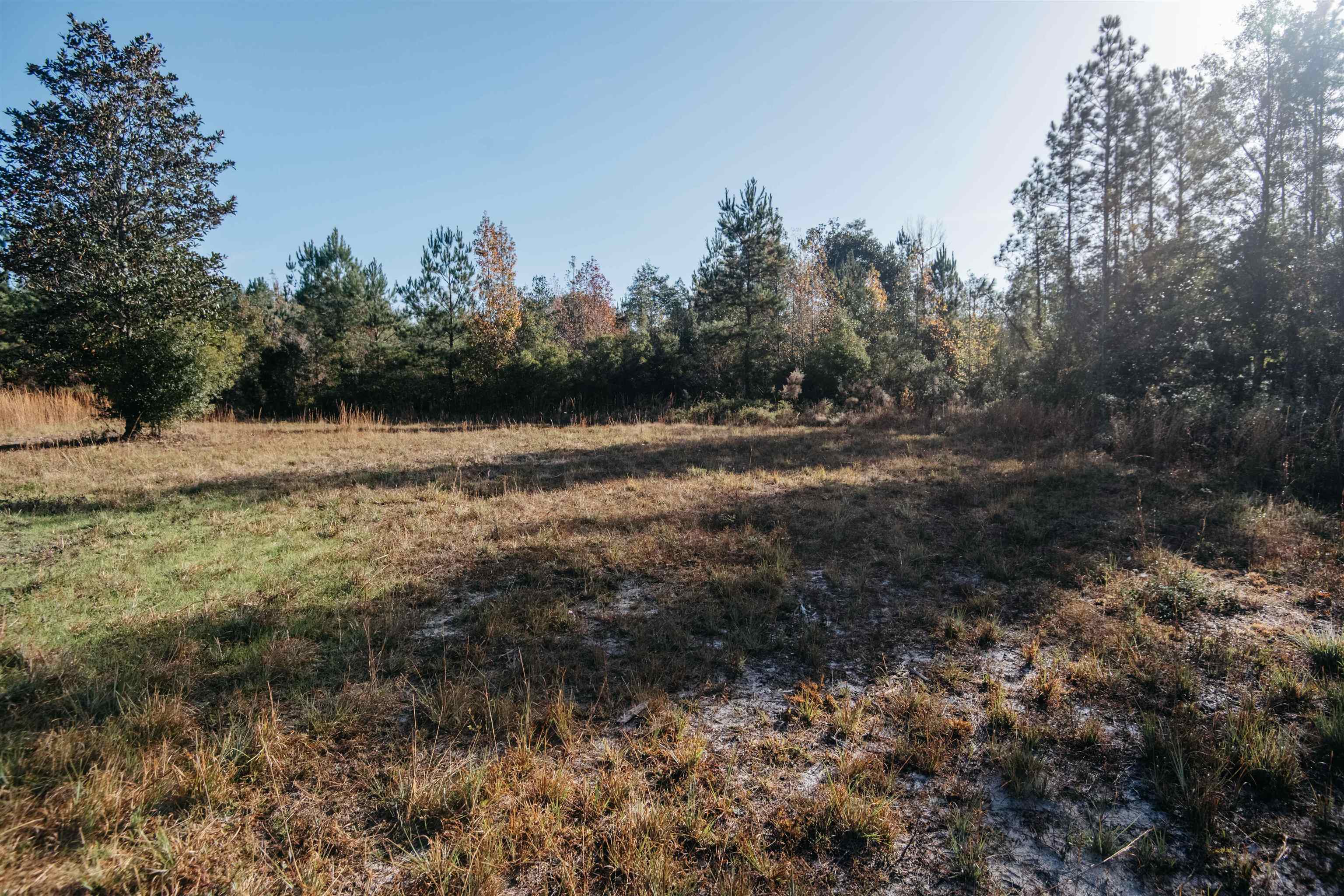 0 Wadesboro,TALLAHASSEE,Florida 32317,Lots and land,Wadesboro,366844